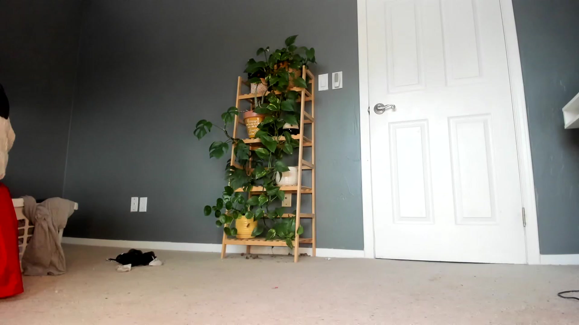 Gallery image thumbnail from Blondebootyx's myfreecams stream on, 01/21/2023, 15:39 image 2 of 20