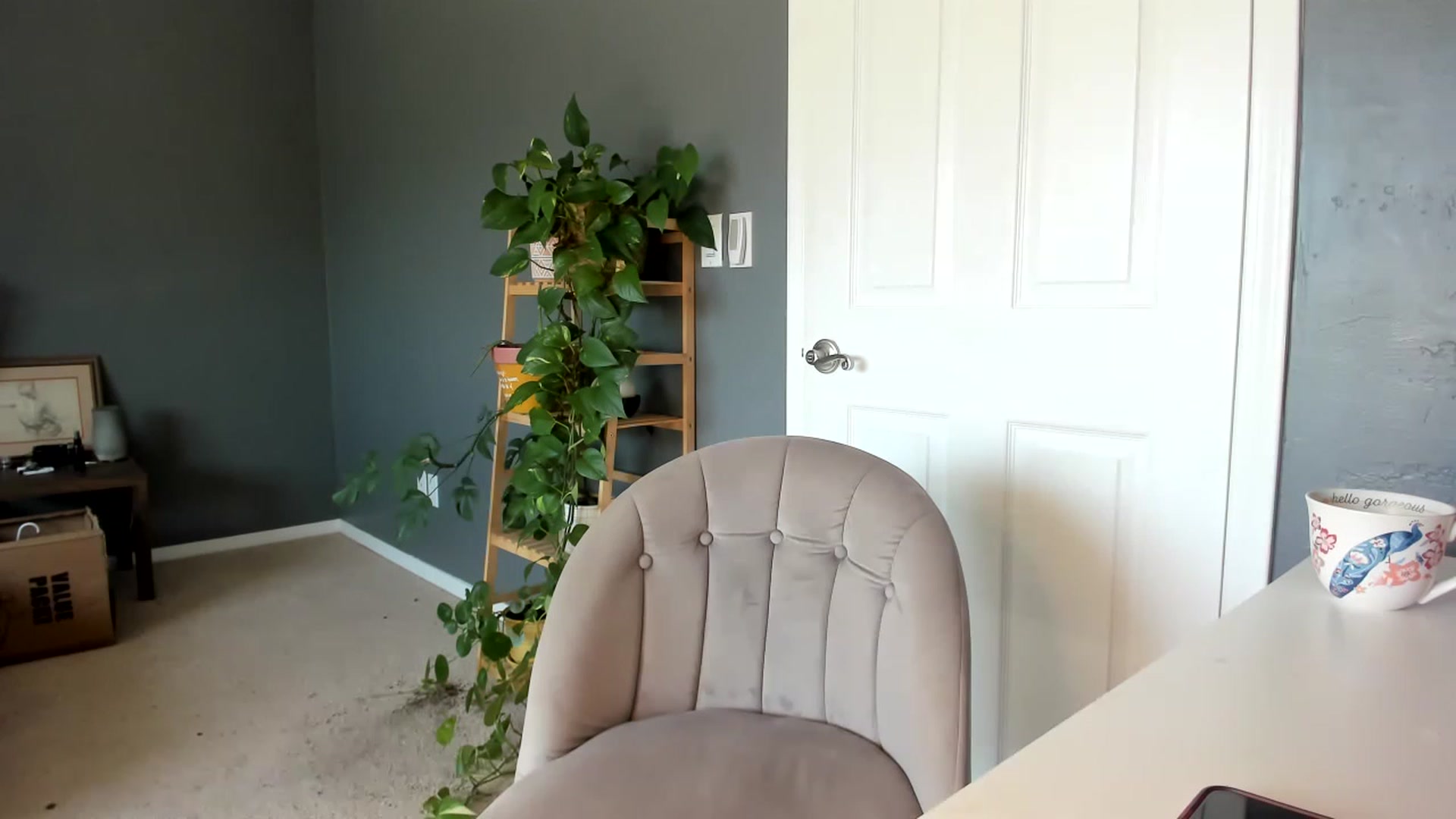 Gallery image thumbnail from Blondebootyx's myfreecams stream on, 04/09/2023, 20:59 image 14 of 20