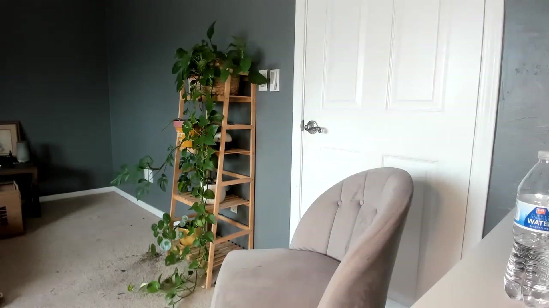 Gallery image thumbnail from Blondebootyx's myfreecams stream on, 04/21/2023, 21:21 image 14 of 20