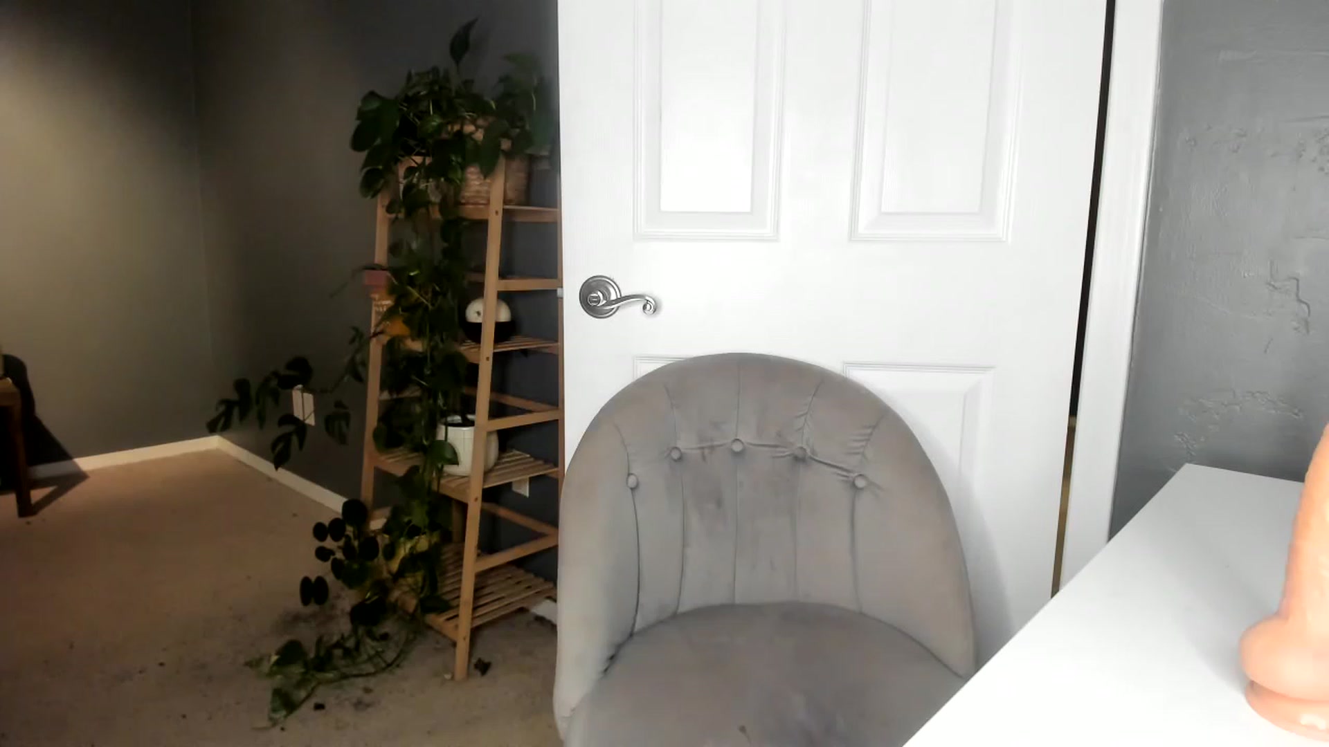 Gallery image thumbnail from Blondebootyx's myfreecams stream on, 04/26/2023, 04:11 image 16 of 20