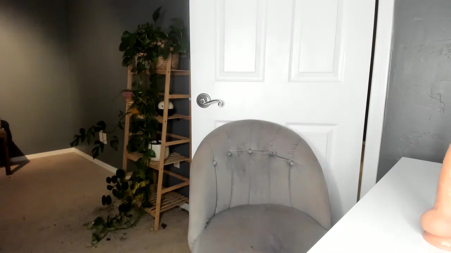 Gallery image thumbnail from Blondebootyx's myfreecams stream on, 04/26/2023, 04:11 image 17 of 20
