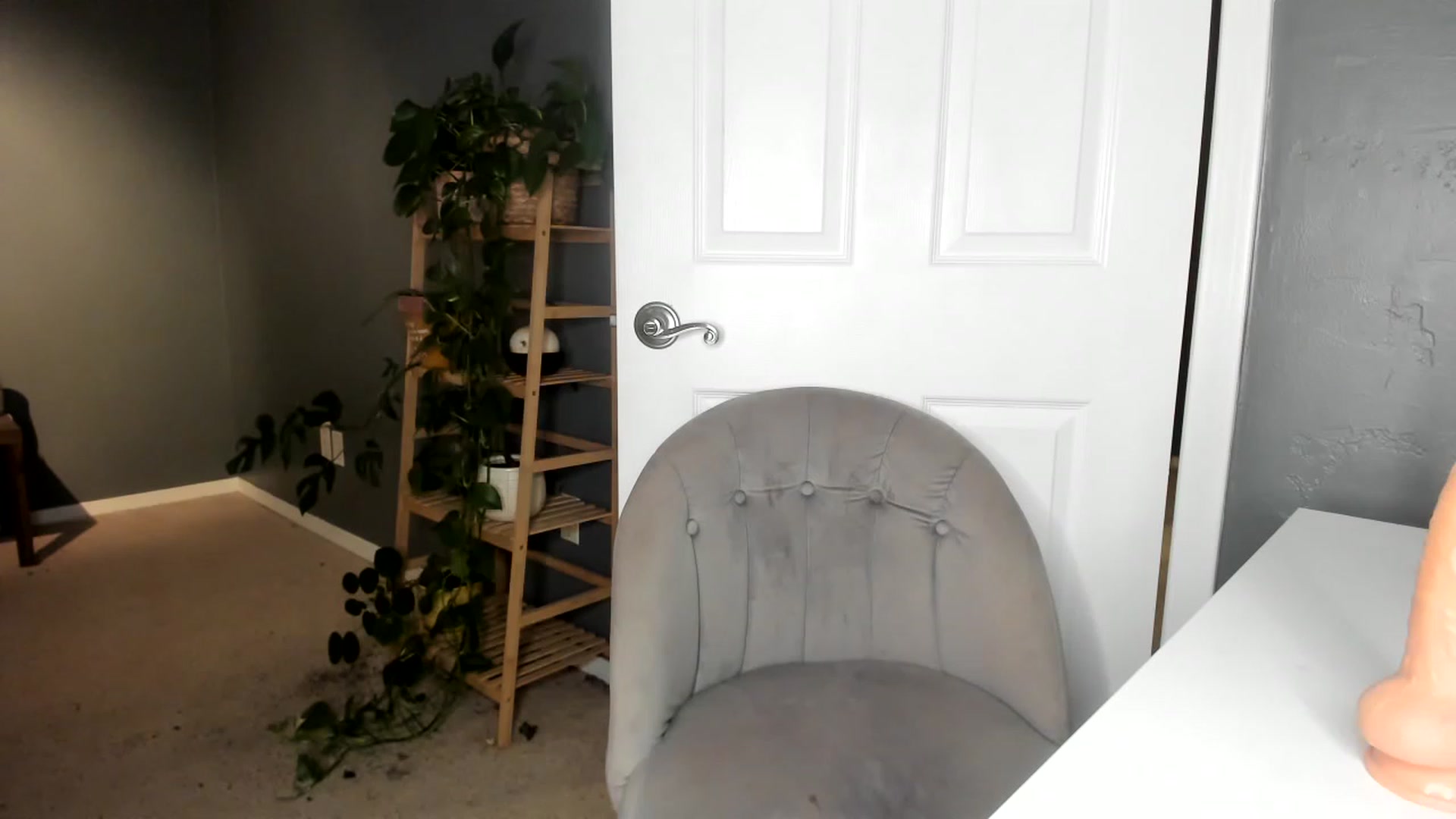 Gallery image thumbnail from Blondebootyx's myfreecams stream on, 04/26/2023, 04:11 image 19 of 20