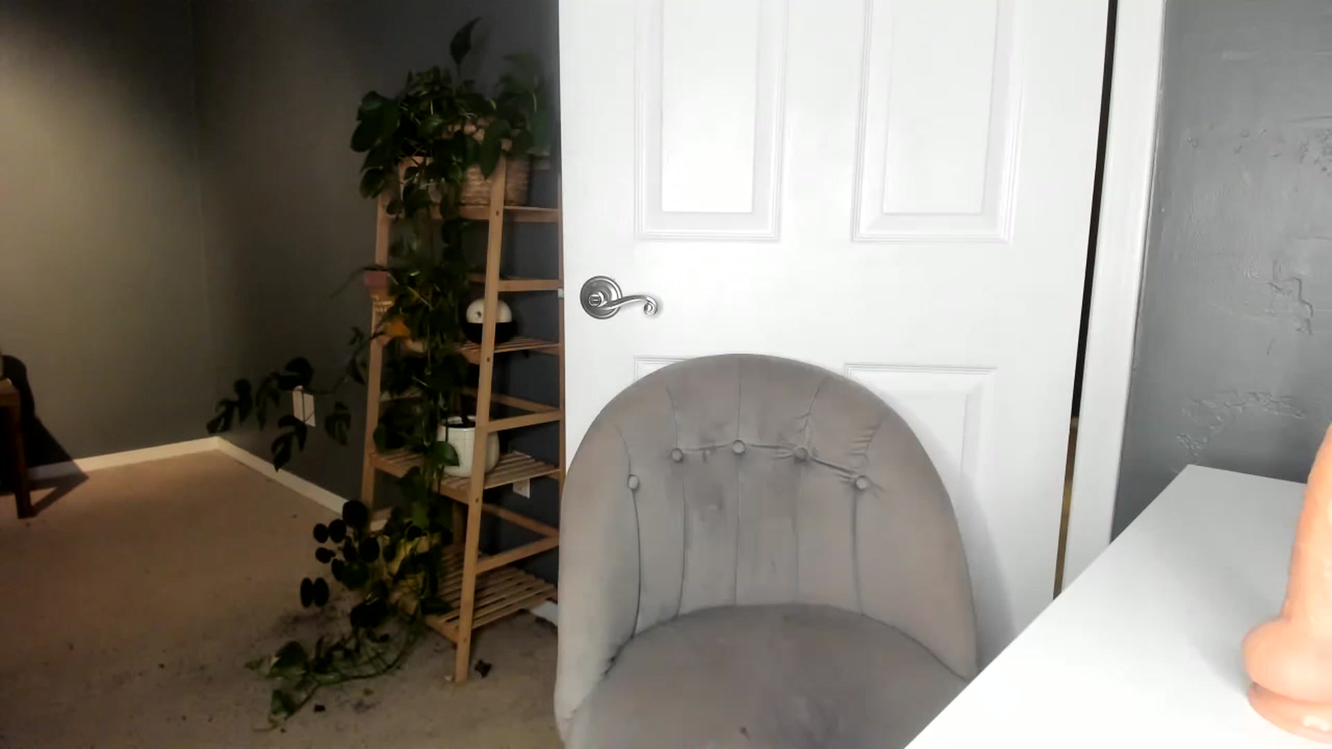 Gallery image thumbnail from Blondebootyx's myfreecams stream on, 04/26/2023, 04:11 image 20 of 20