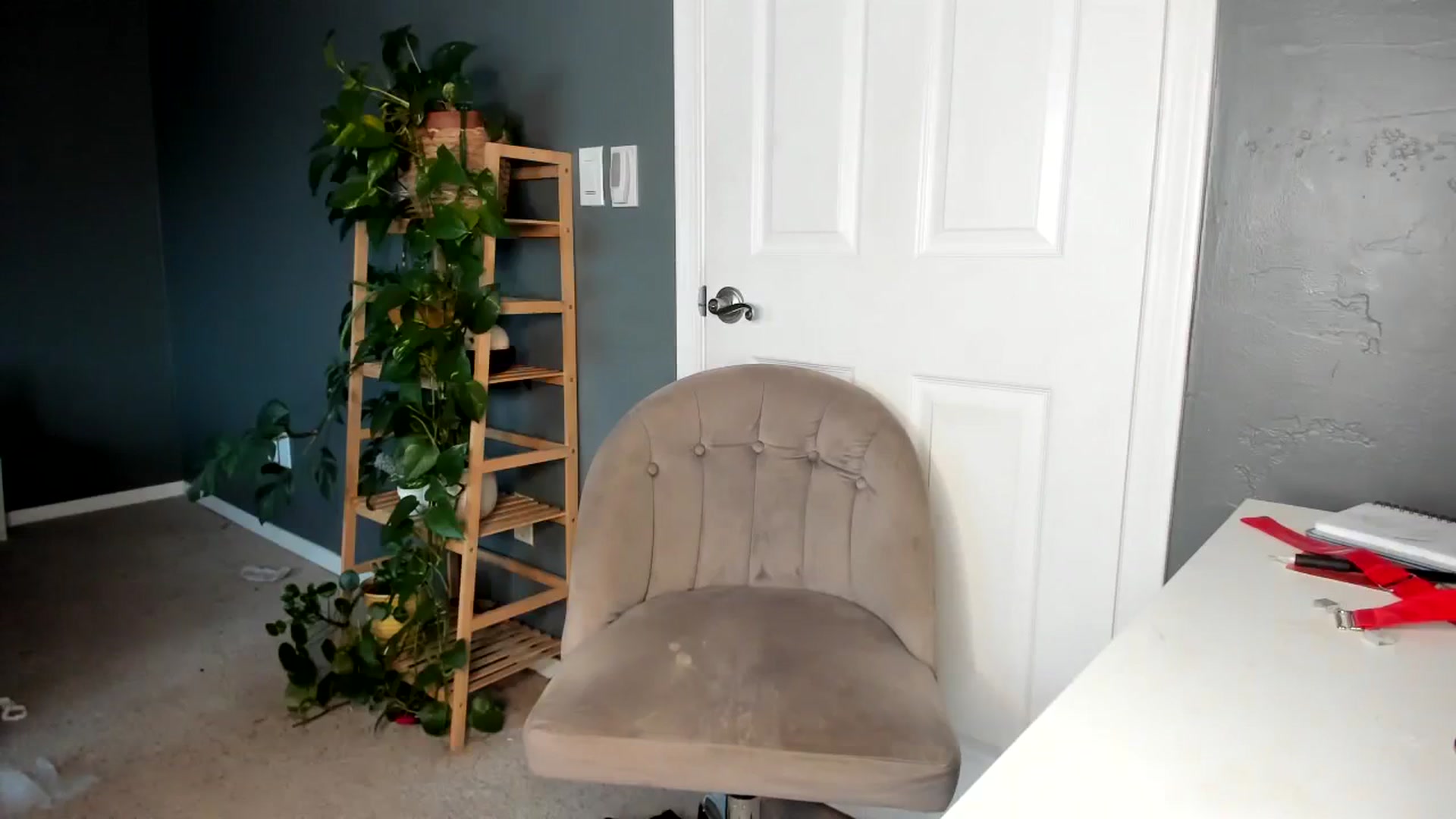 Gallery image thumbnail from Blondebootyx's myfreecams stream on, 11/20/2023, 21:10 image 11 of 20