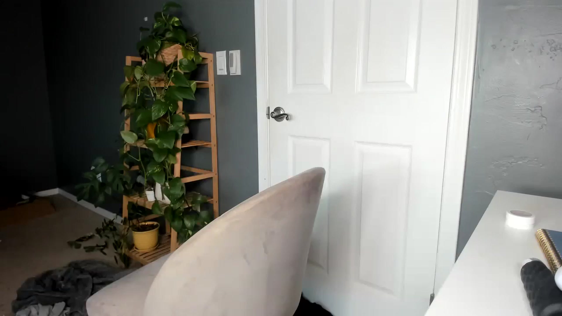Gallery image thumbnail from Blondebootyx's myfreecams stream on, 11/29/2023, 22:15 image 18 of 20
