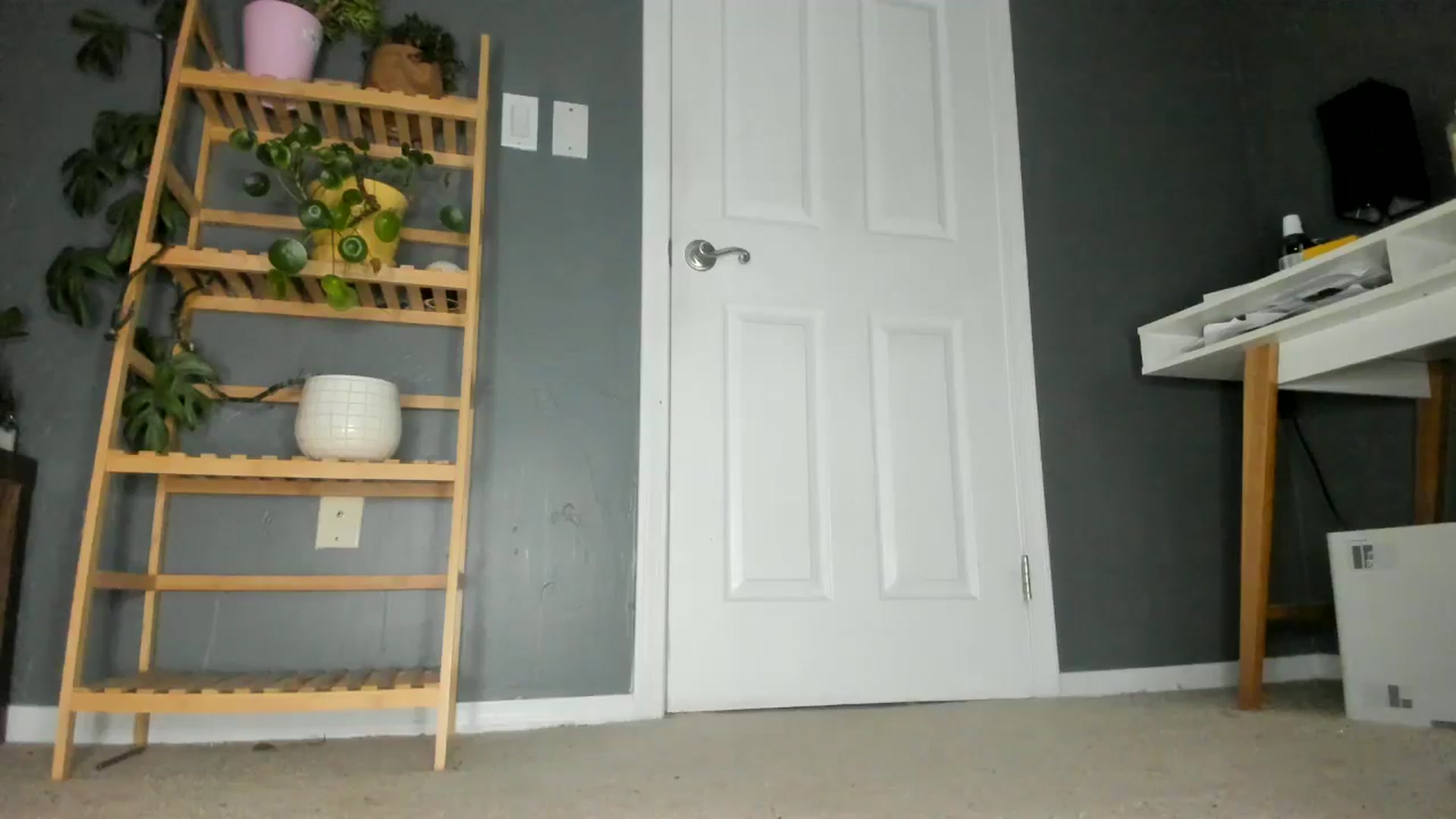 Gallery image thumbnail from Blondebootyx's myfreecams stream on, 10/30/2024, 23:41 image 12 of 20