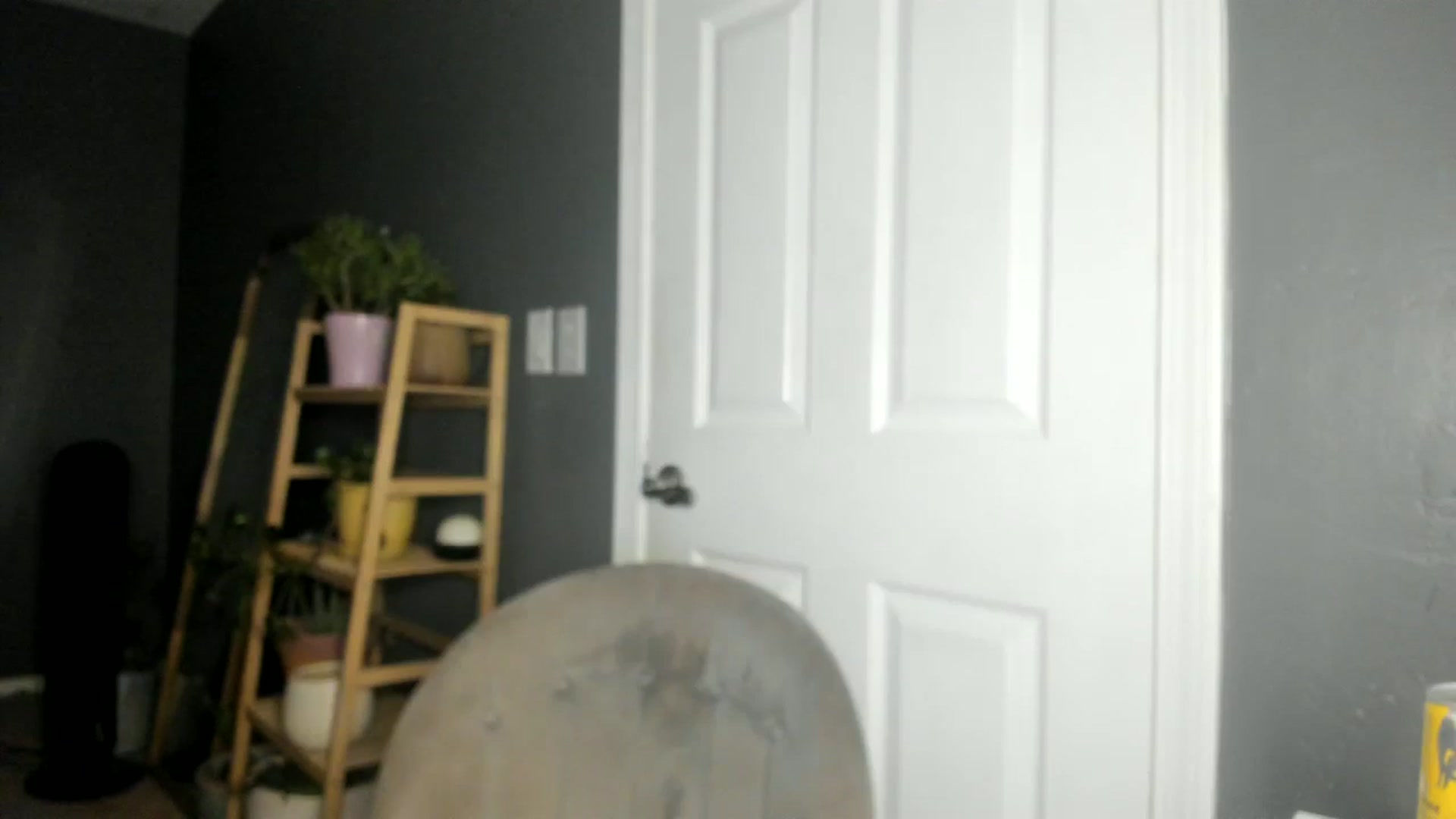 Gallery image thumbnail from Blondebootyx's myfreecams stream on, 01/09/2025, 24:24 image 17 of 20