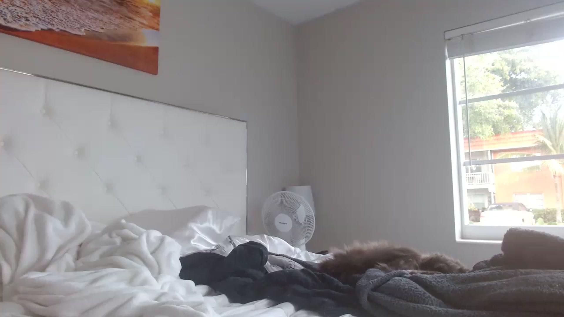 Gallery image thumbnail from Blondebunny5's myfreecams stream on, 12/18/2022, 21:43 image 20 of 20