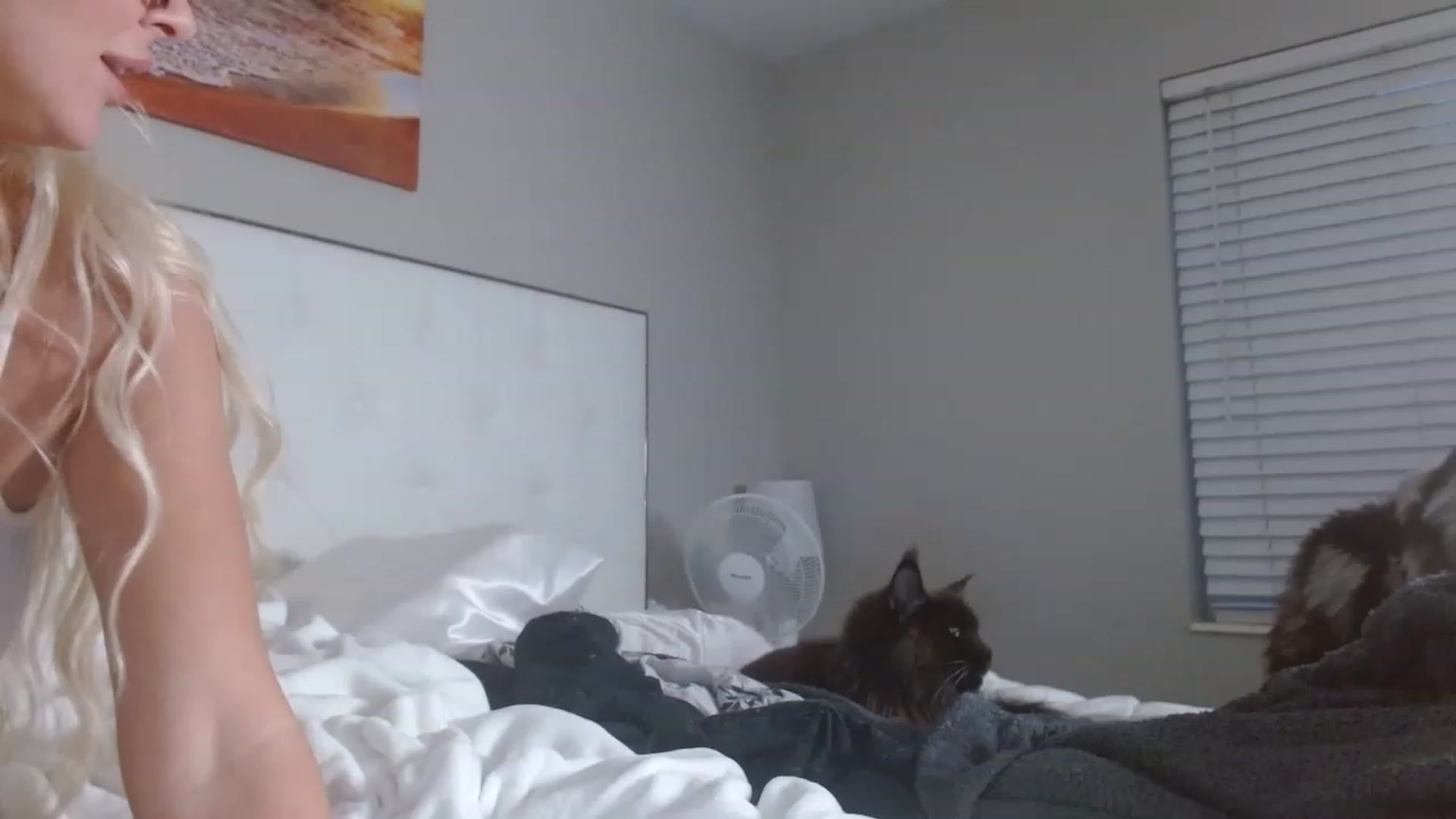 Gallery image thumbnail from Blondebunny5's myfreecams stream on, 12/18/2022, 22:50 image 18 of 20