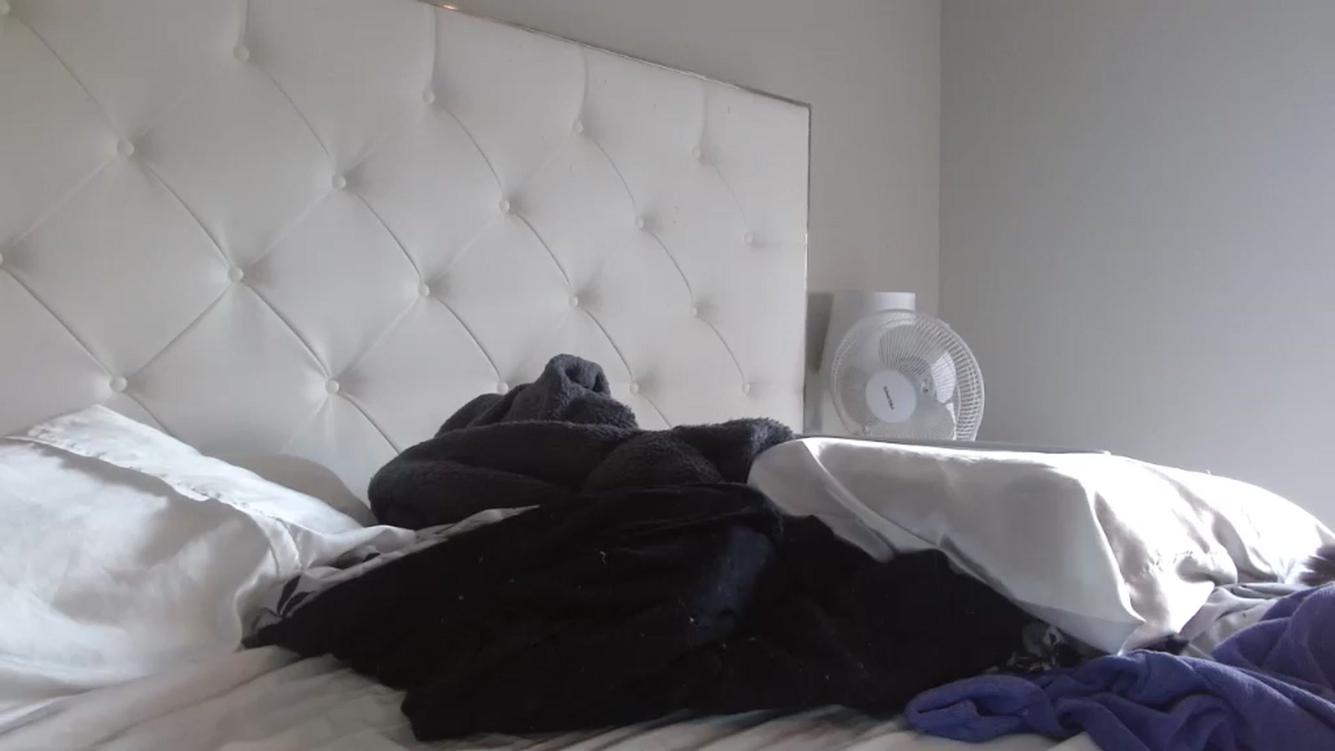 Gallery image thumbnail from Blondebunny5's myfreecams stream on, 01/20/2023, 21:02 image 19 of 20