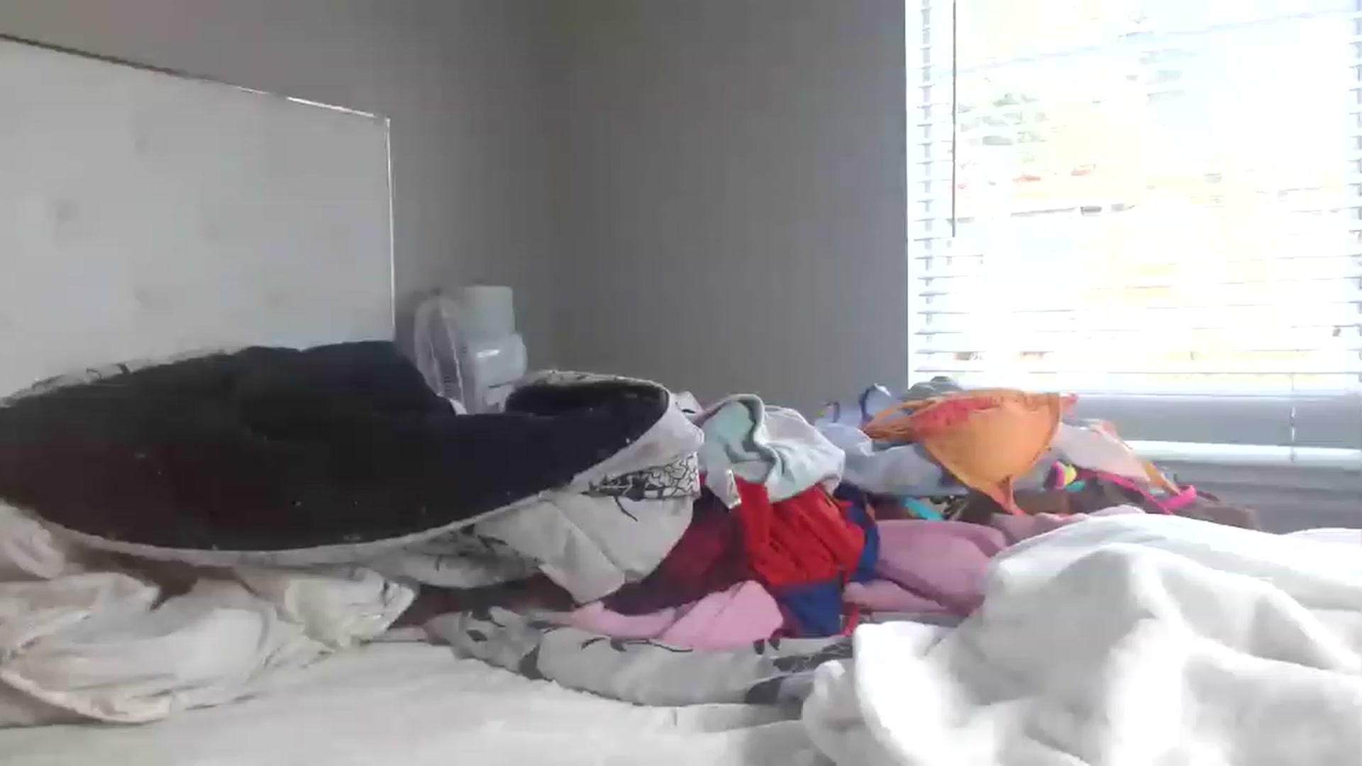 Gallery image thumbnail from Blondebunny5's myfreecams stream on, 01/22/2023, 21:10 image 15 of 20