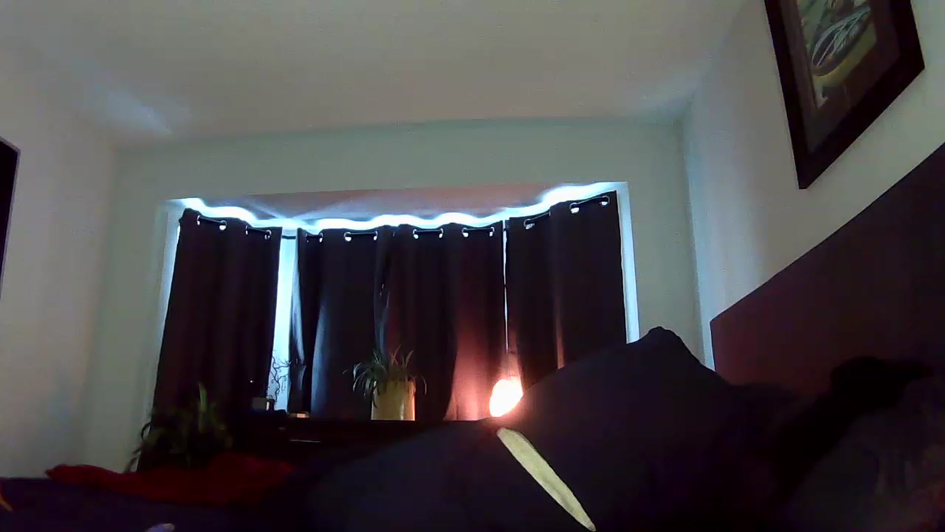 Gallery image thumbnail from Blondgrllexi's myfreecams stream on, 12/03/2022, 16:04 image 13 of 20