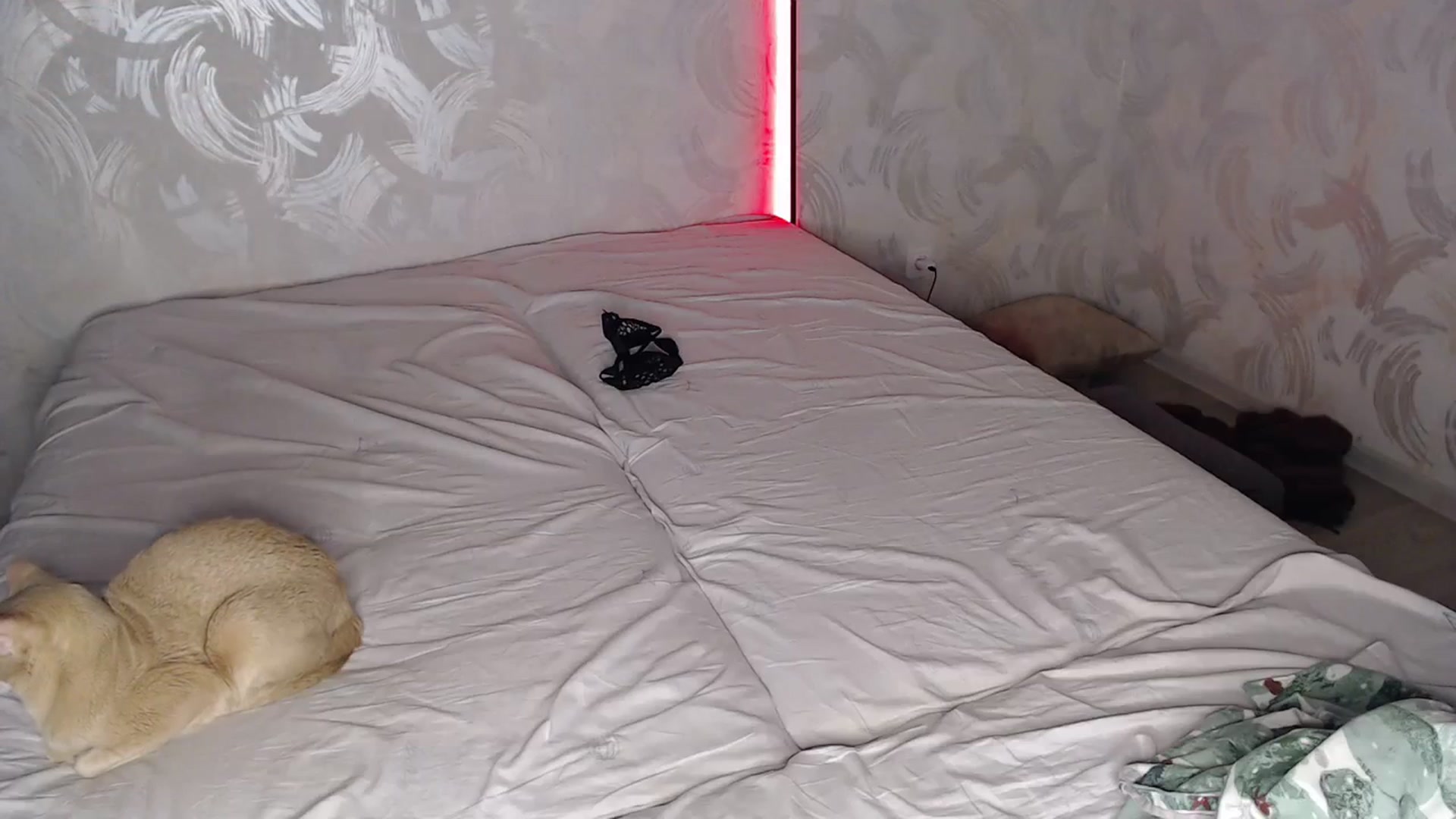 Gallery image thumbnail from Blondino4ka07's myfreecams stream on, 01/17/2024, 18:15 image 15 of 20