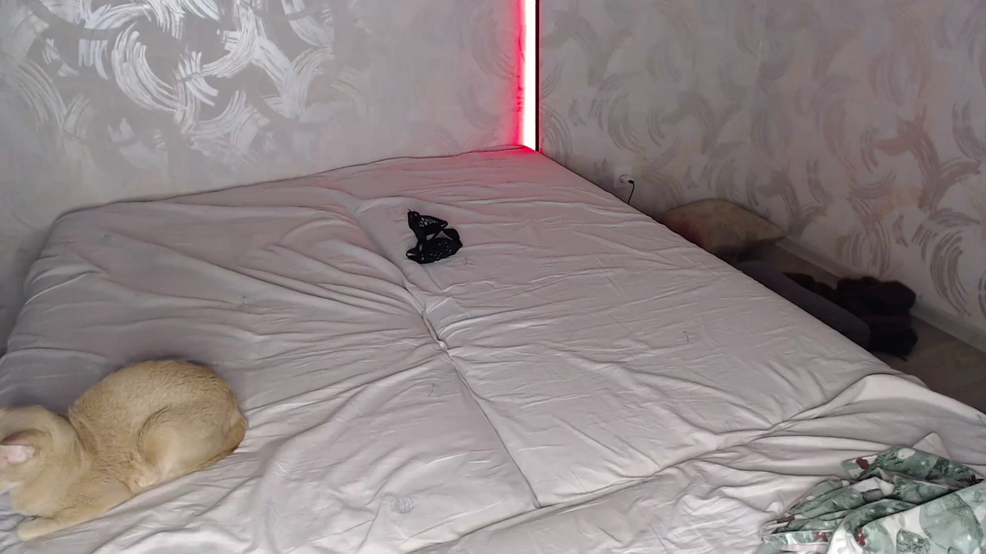 Gallery image thumbnail from Blondino4ka07's myfreecams stream on, 01/17/2024, 18:15 image 17 of 20