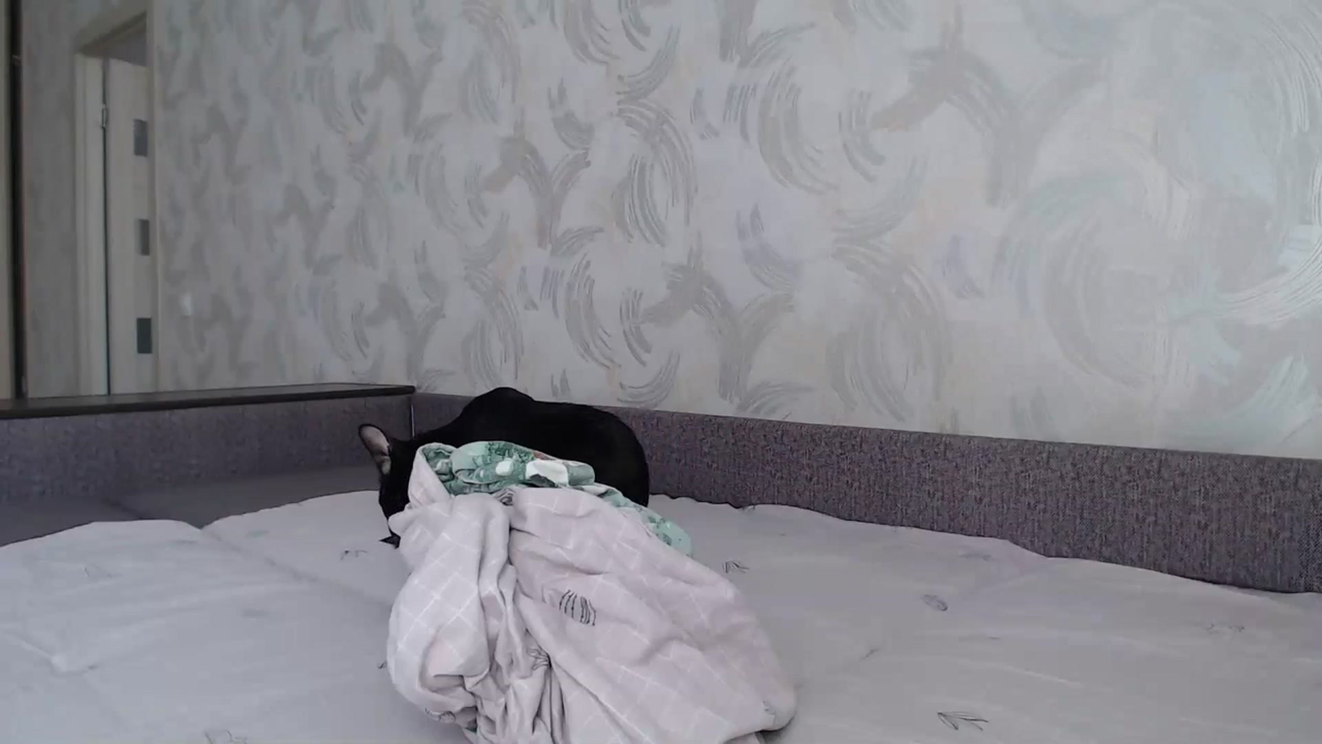 Gallery image thumbnail from Blondino4ka07's myfreecams stream on, 04/07/2024, 08:34 image 10 of 20