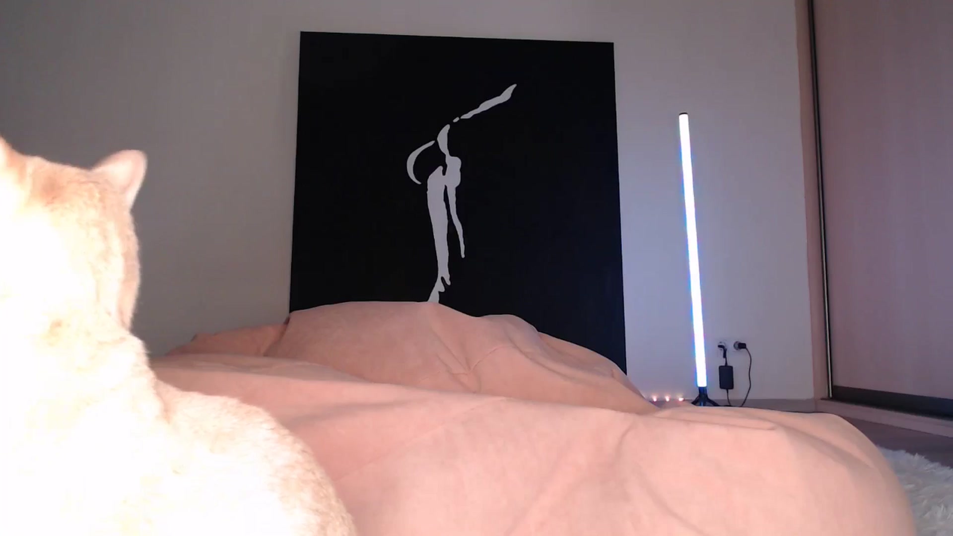 Gallery image thumbnail from Blondino4ka07's myfreecams stream on, 01/23/2025, 19:37 image 4 of 20