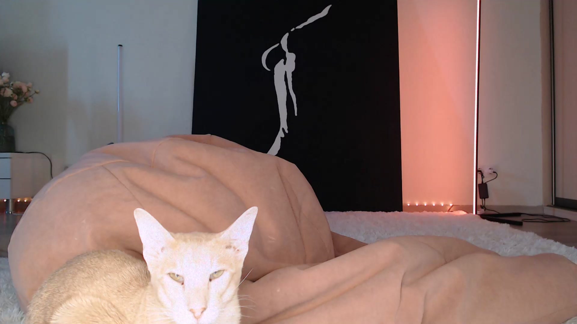 Gallery image thumbnail from Blondino4ka07's myfreecams stream on, 03/12/2025, 06:23 image 2 of 20