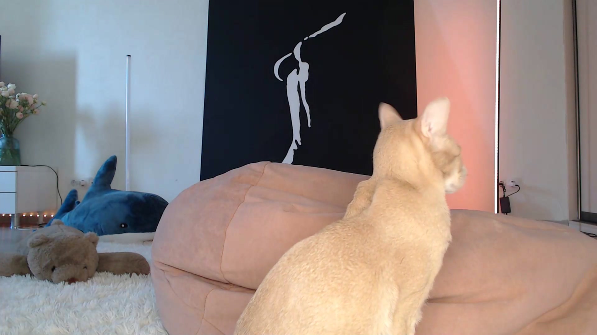 Gallery image thumbnail from Blondino4ka07's myfreecams stream on, 03/12/2025, 07:18 image 15 of 20