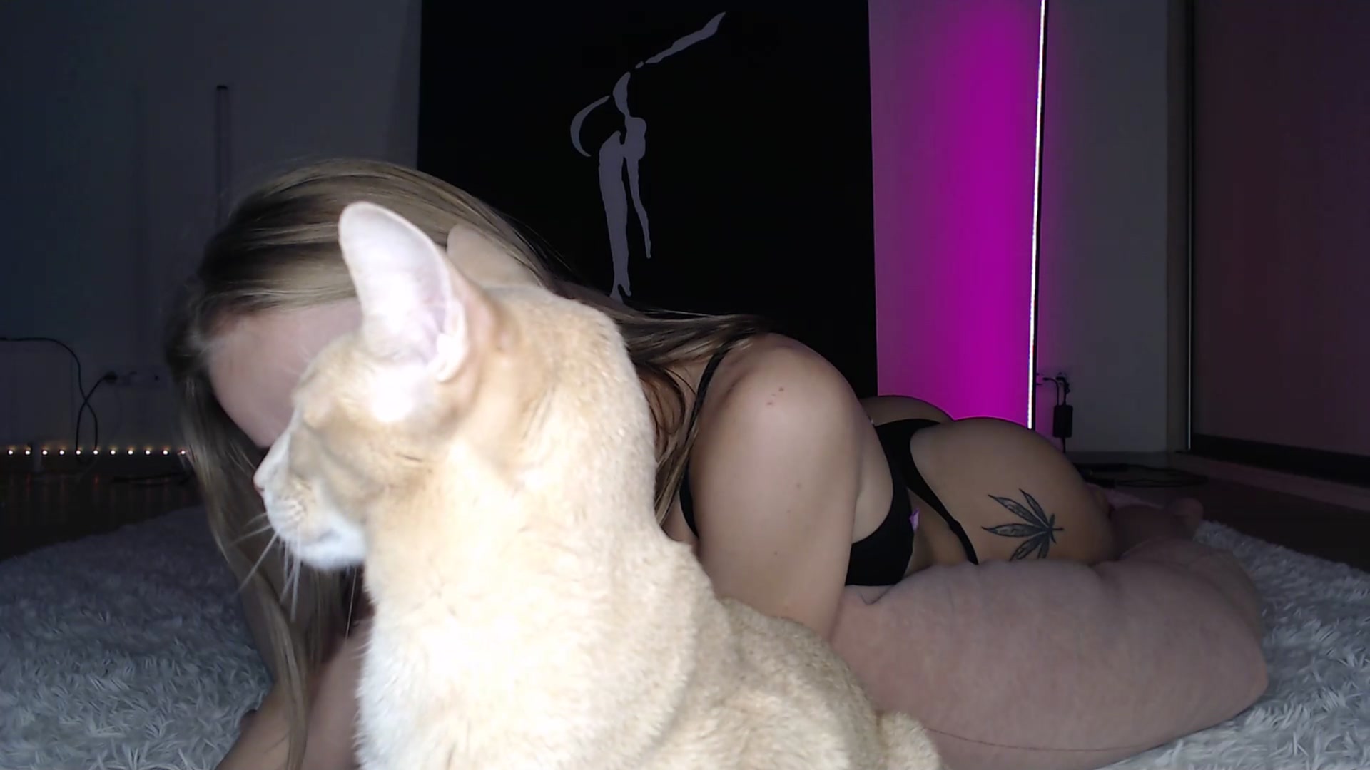 Gallery image thumbnail from Blondino4ka07's myfreecams stream on, 03/17/2025, 16:11 image 14 of 20