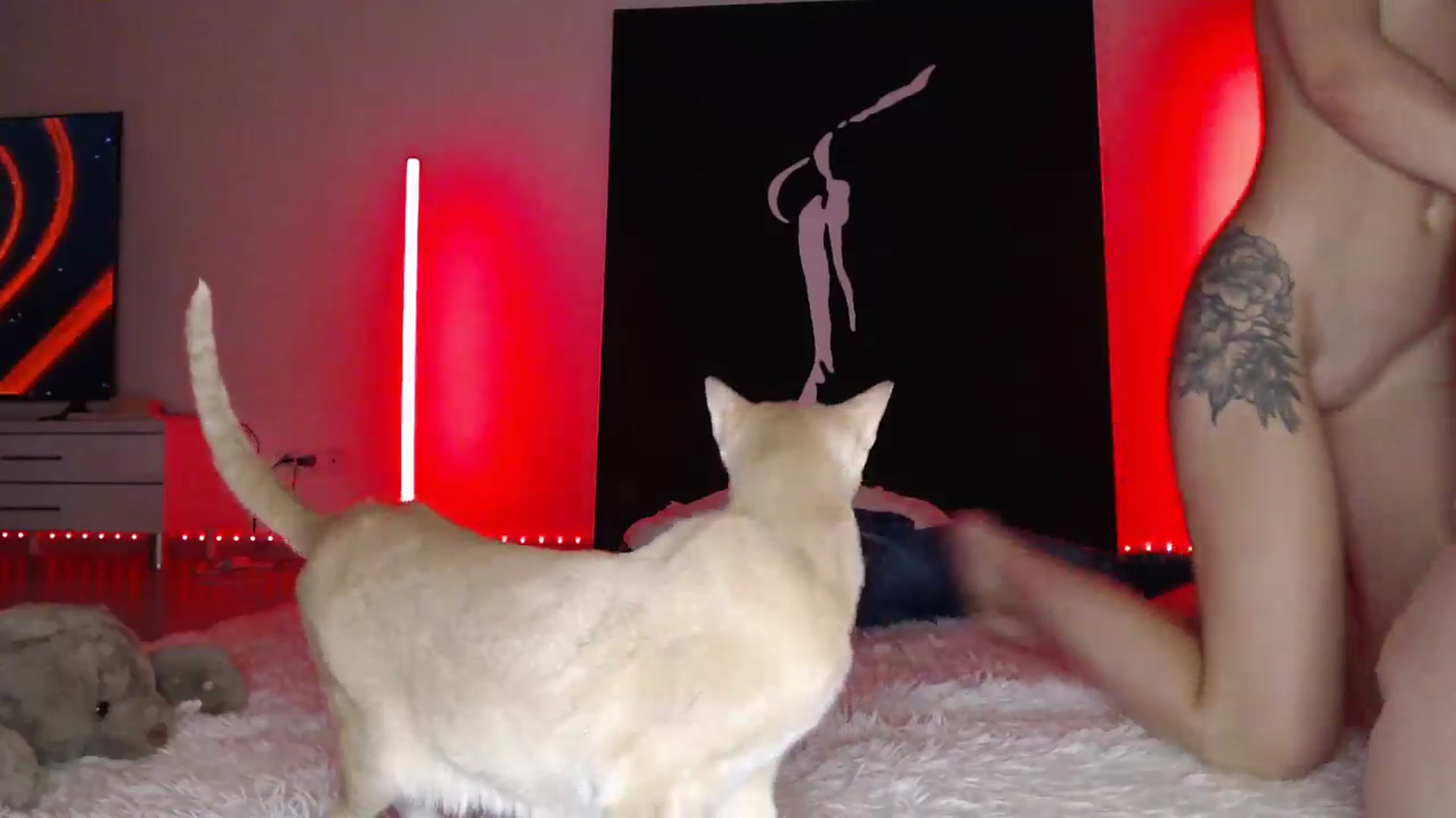Gallery image thumbnail from Blondino4ka07's myfreecams stream on, 03/21/2025, 16:29 image 18 of 20