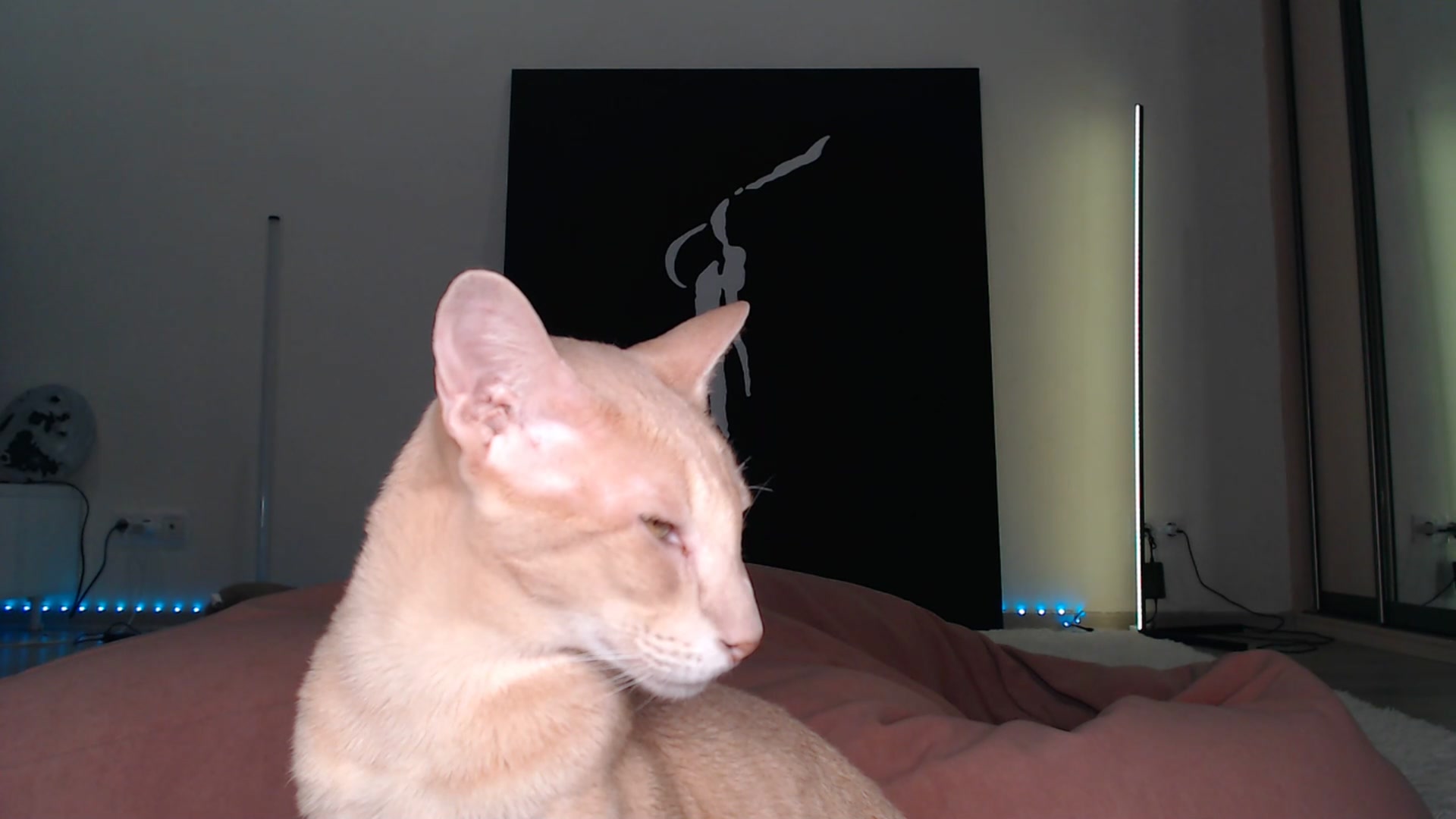 Gallery image thumbnail from Blondino4ka07's myfreecams stream on, 03/30/2025, 17:33 image 20 of 20