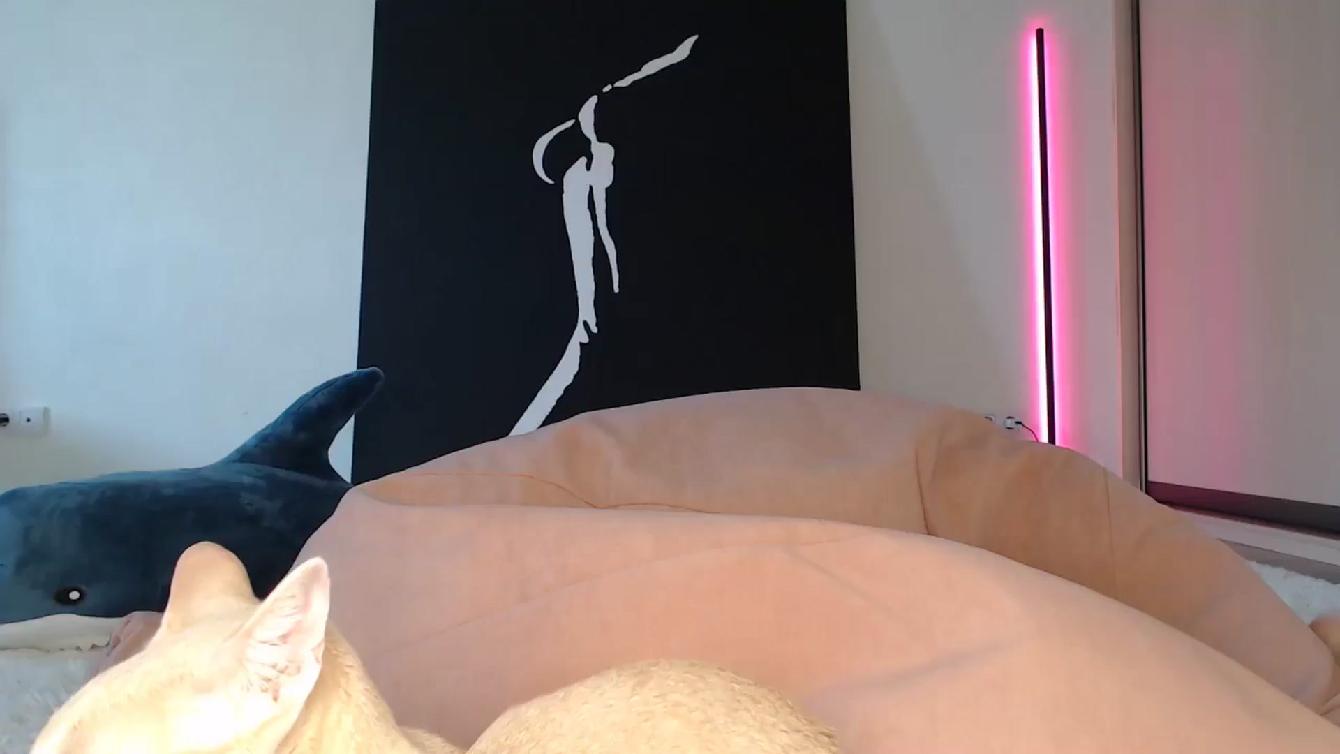 Gallery image thumbnail from Blondino4ka07's myfreecams stream on, 05/11/2025, 08:27 image 14 of 20