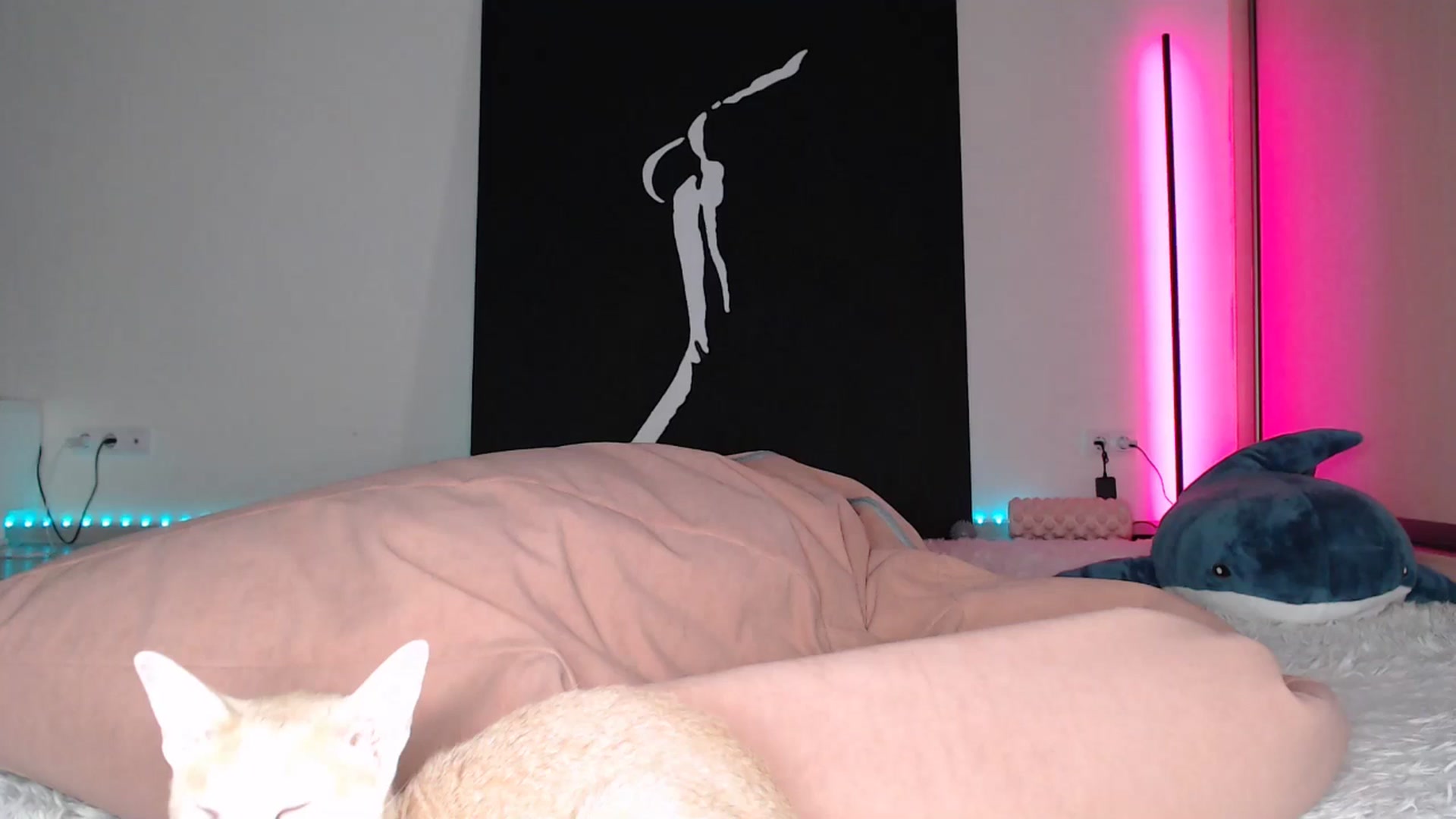 Gallery image thumbnail from Blondino4ka07's myfreecams stream on, 05/17/2025, 18:08 image 8 of 20