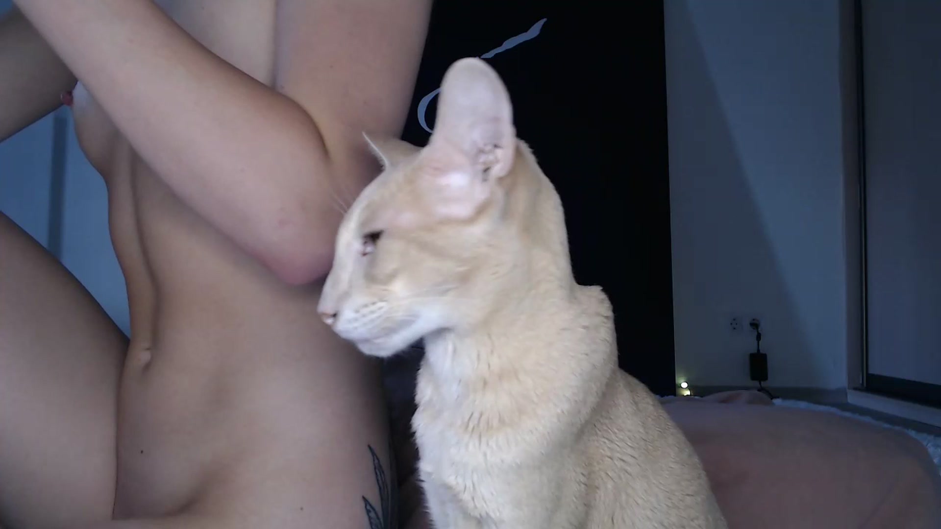 Gallery image thumbnail from Blondino4ka07's myfreecams stream on, 08/06/2025, 09:20 image 17 of 20