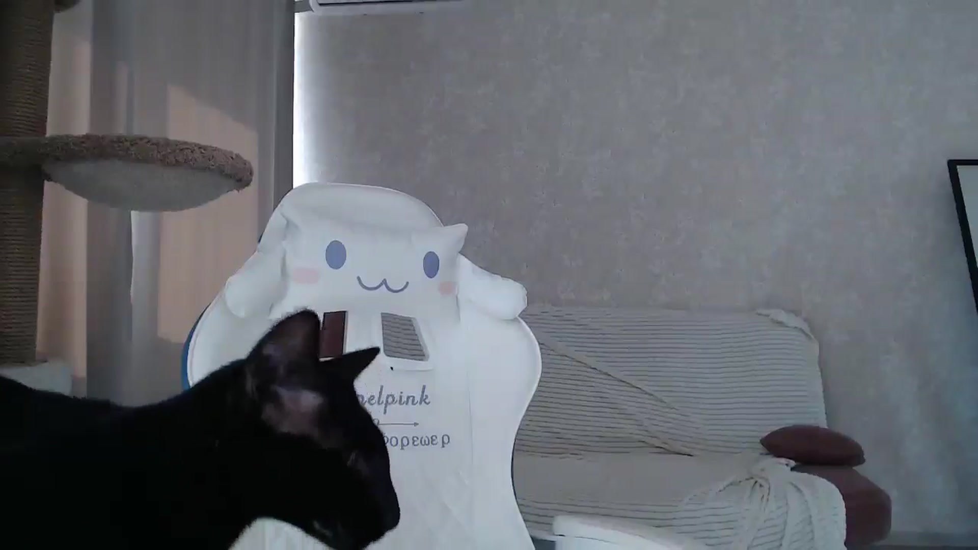 Gallery image thumbnail from Blondino4ka07's myfreecams stream on, 08/24/2025, 10:32 image 5 of 20