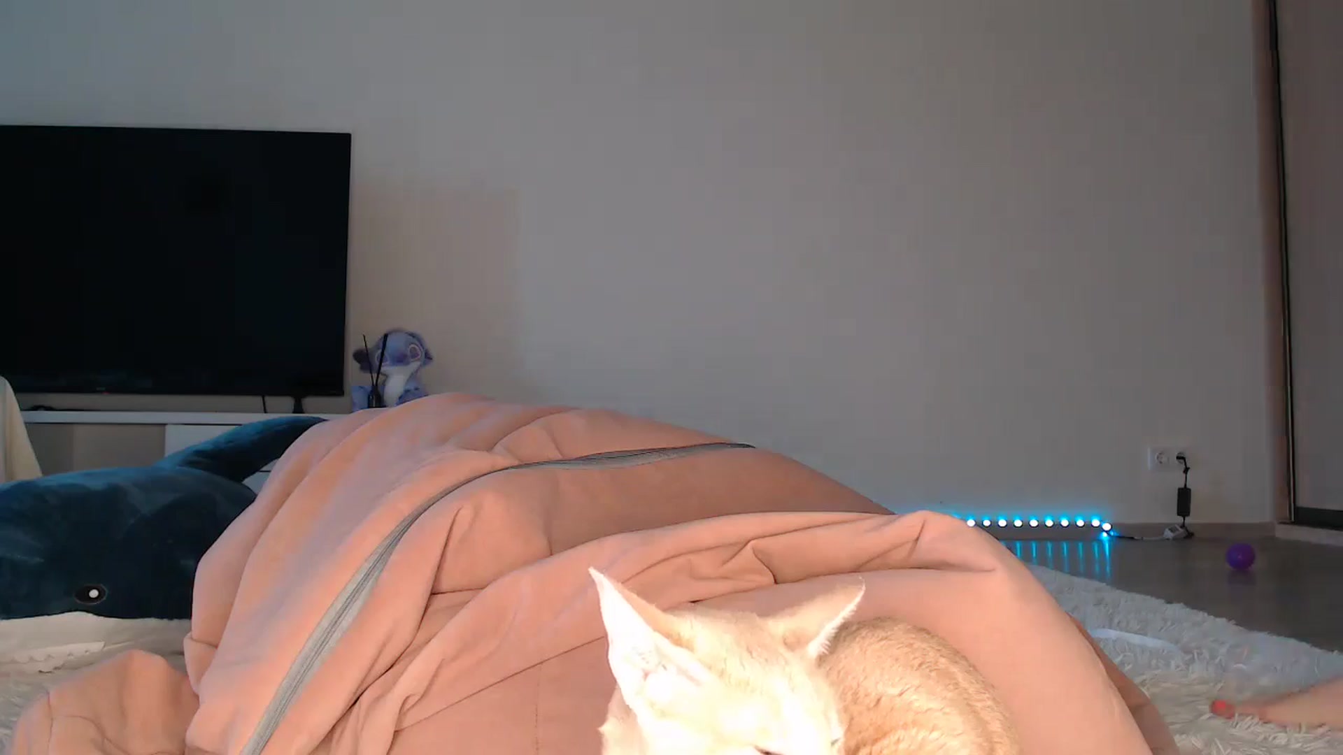 Gallery image thumbnail from Blondino4ka07's myfreecams stream on, 10/09/2025, 07:19 image 10 of 20