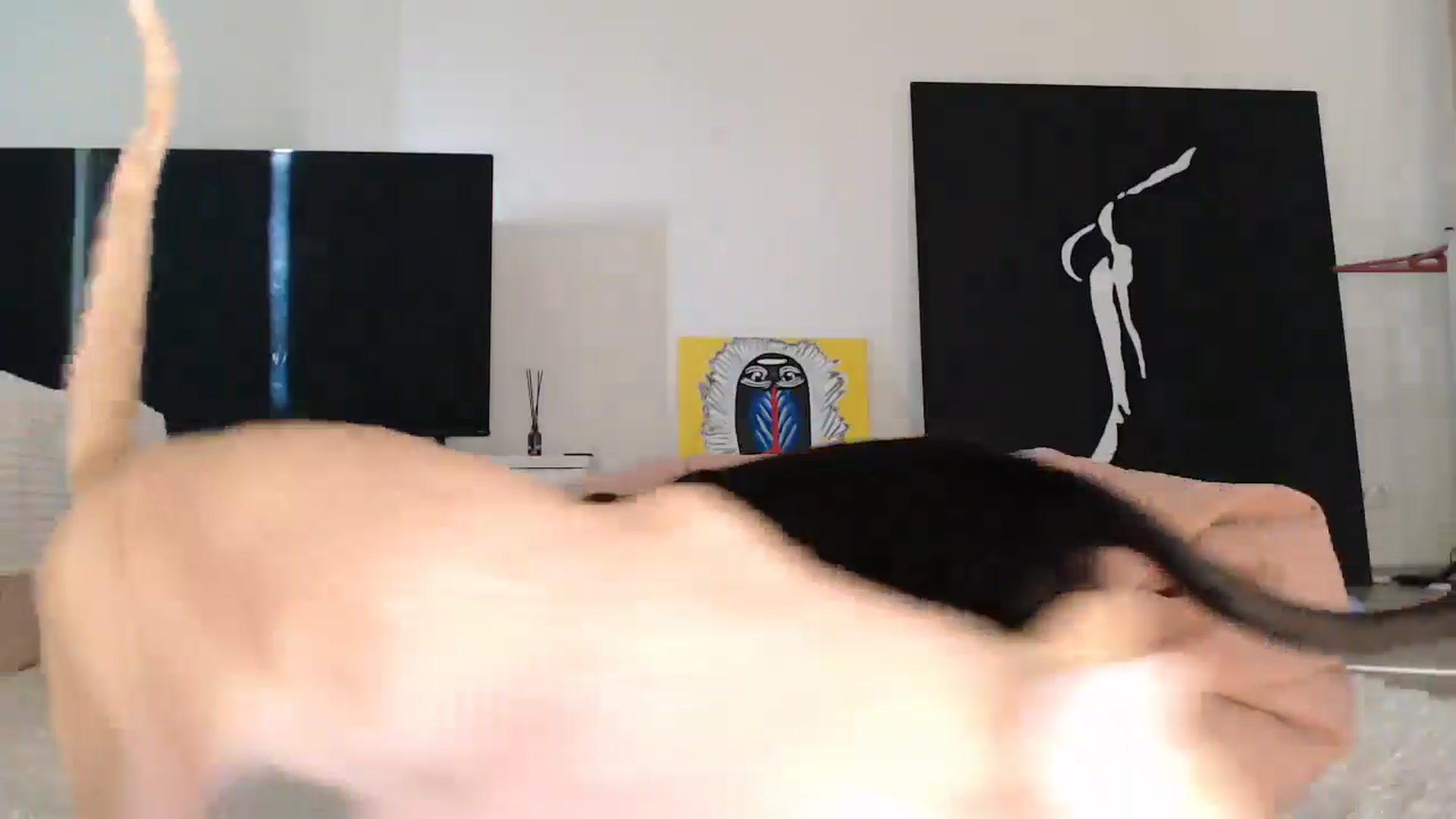 Gallery image thumbnail from Blondino4ka07's myfreecams stream on, 11/05/2025, 08:49 image 16 of 20