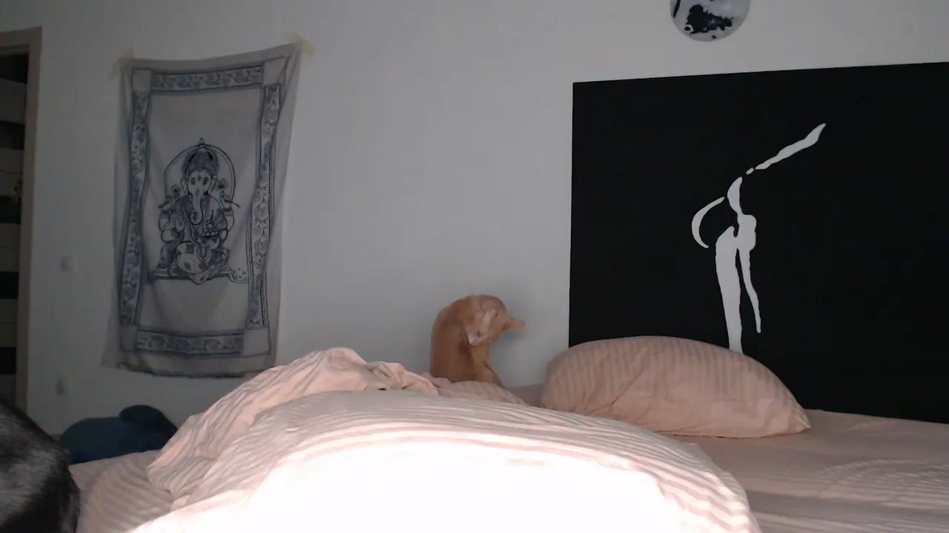Gallery image thumbnail from Blondino4ka07's myfreecams stream on, 11/17/2025, 18:20 image 14 of 20