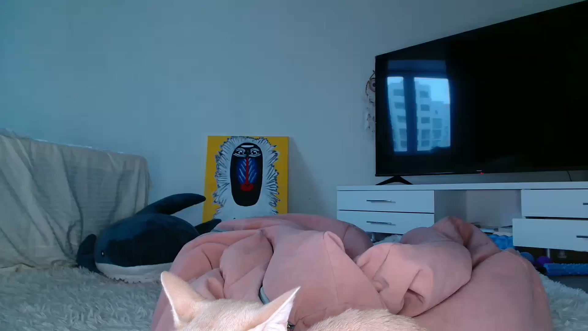 Gallery image thumbnail from Blondino4ka07's myfreecams stream on, 12/01/2025, 08:05 image 10 of 20