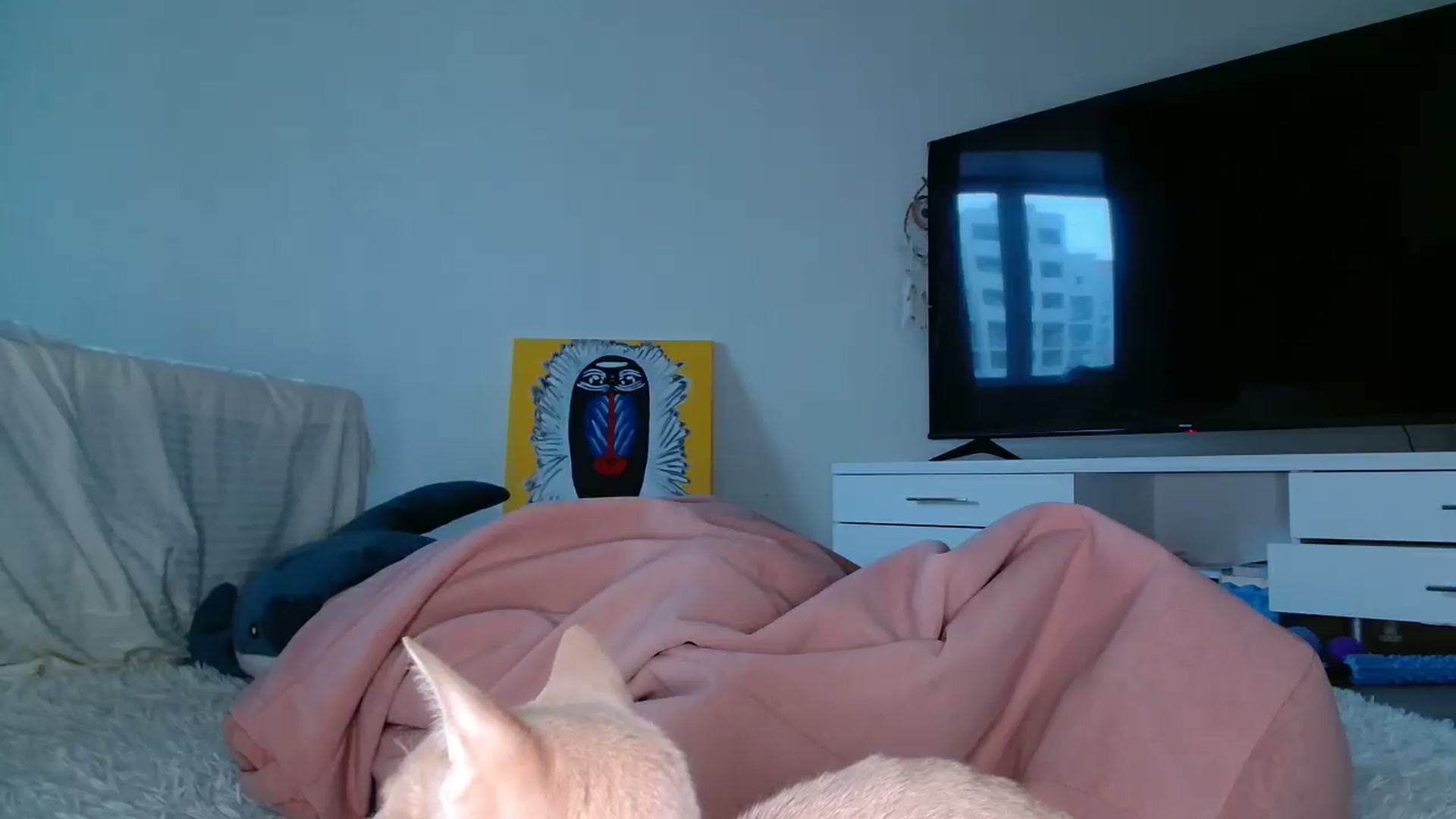 Gallery image thumbnail from Blondino4ka07's myfreecams stream on, 12/01/2025, 08:05 image 7 of 20