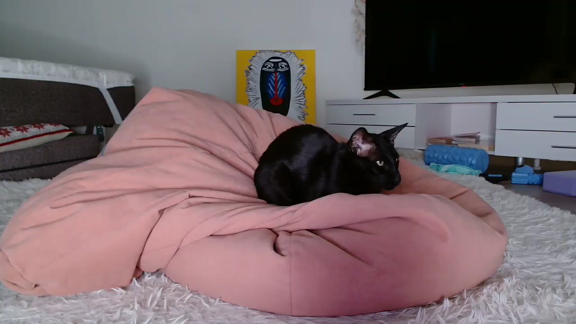 Gallery image thumbnail from Blondino4ka07's myfreecams stream on, 12/09/2025, 05:24 image 4 of 20
