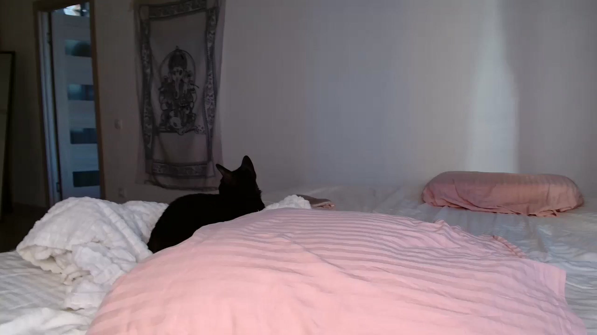Gallery image thumbnail from Blondino4ka07's myfreecams stream on, 01/14/2026, 06:10 image 12 of 20