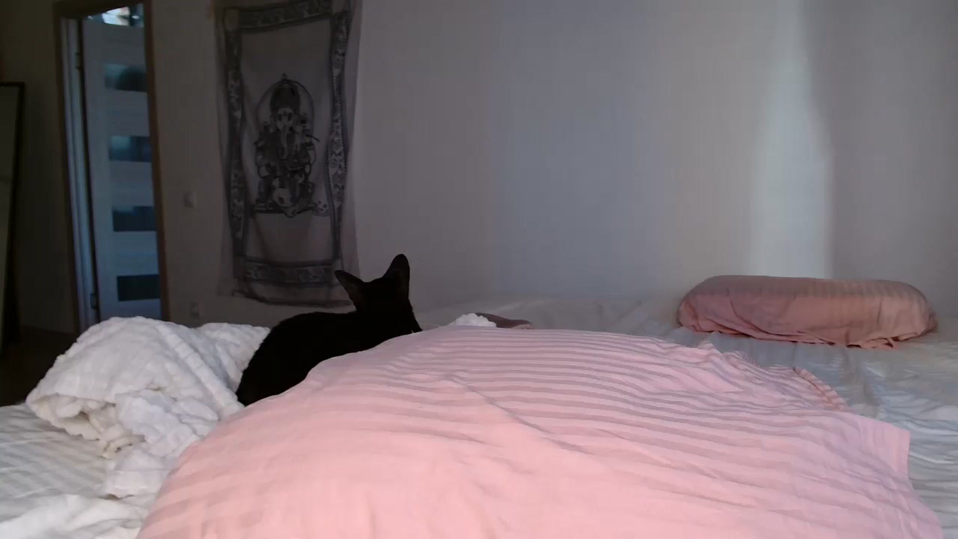 Gallery image thumbnail from Blondino4ka07's myfreecams stream on, 01/14/2026, 06:10 image 13 of 20