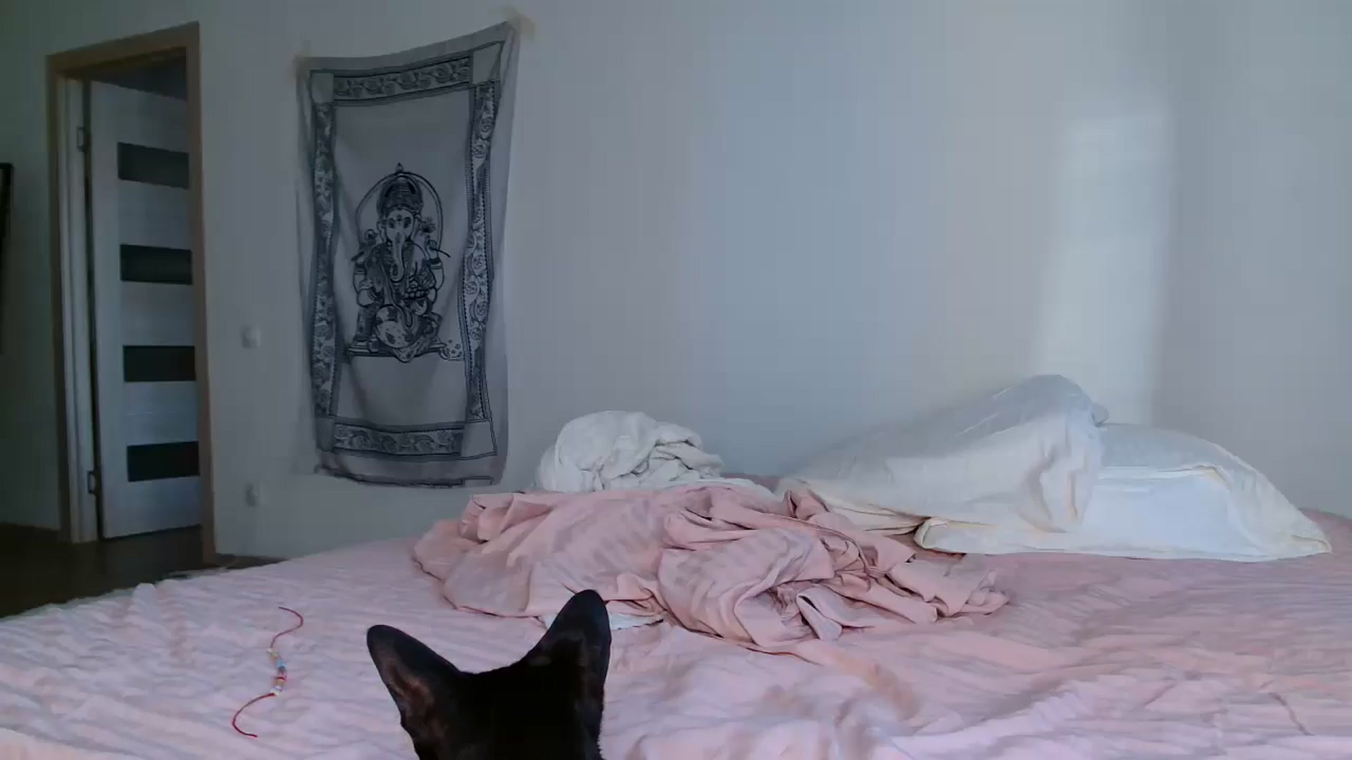 Gallery image thumbnail from Blondino4ka07's myfreecams stream on, 01/21/2026, 07:17 image 14 of 20