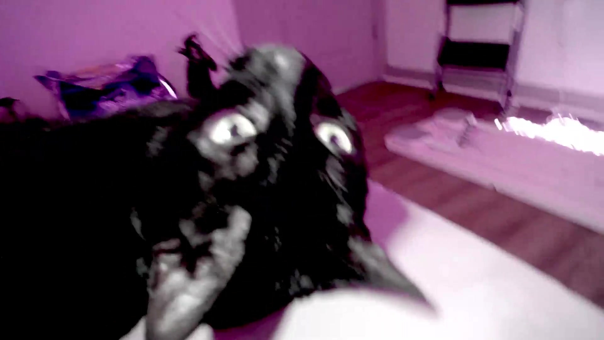 Gallery image thumbnail from BloodAngel's myfreecams stream on, 09/06/2026, 16:07 image 3 of 20