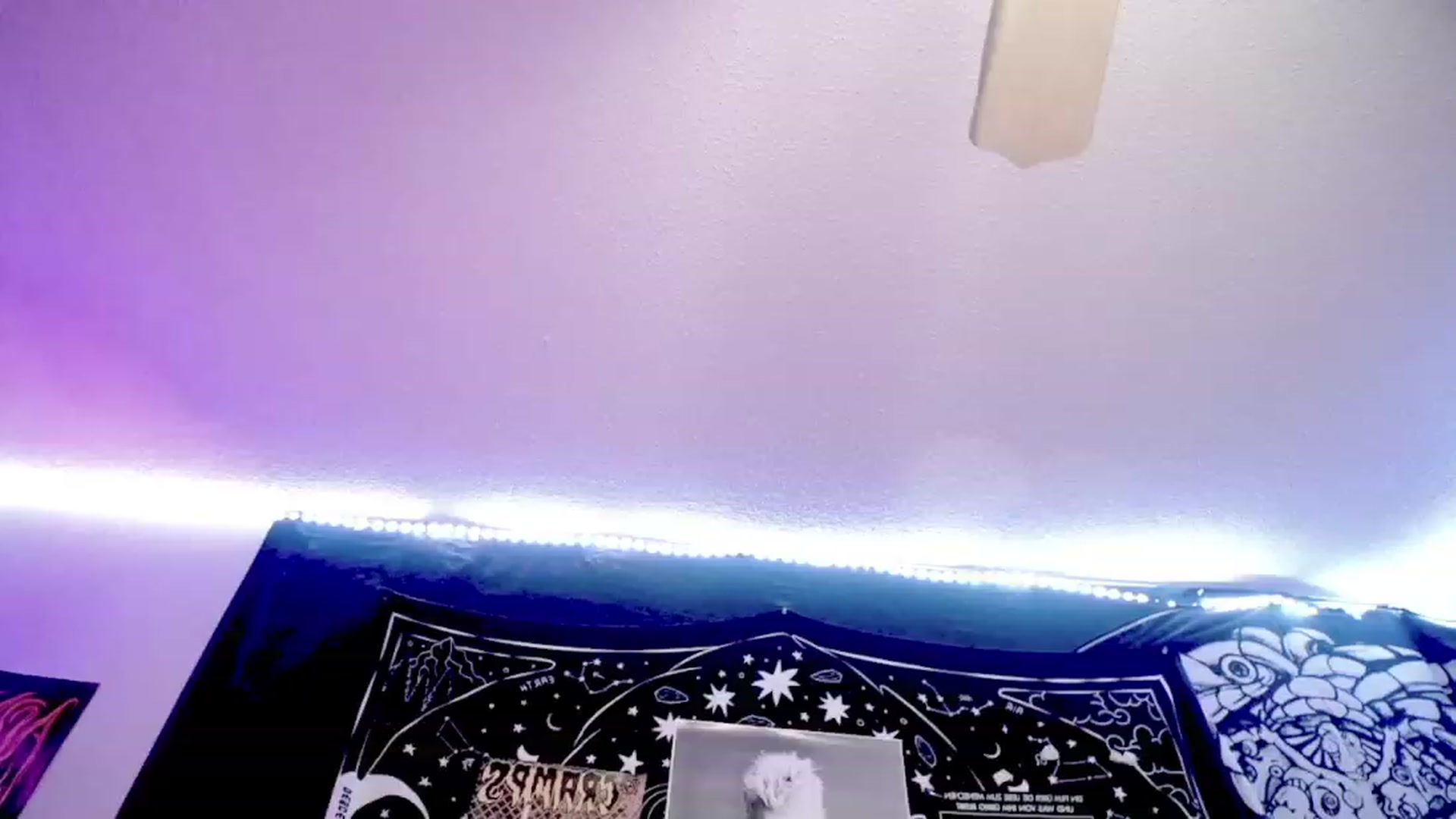 Gallery image thumbnail from BloodAngel_'s myfreecams stream on, 07/15/2023, 17:26 image 15 of 20
