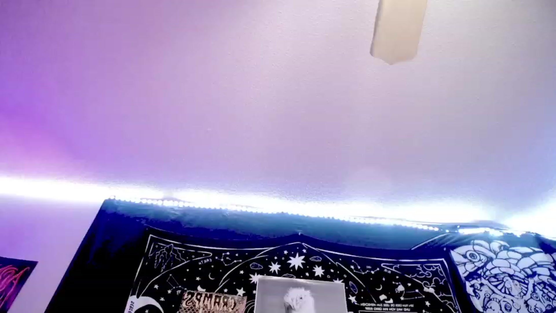 Gallery image thumbnail from BloodAngel_'s myfreecams stream on, 07/15/2023, 17:26 image 16 of 20