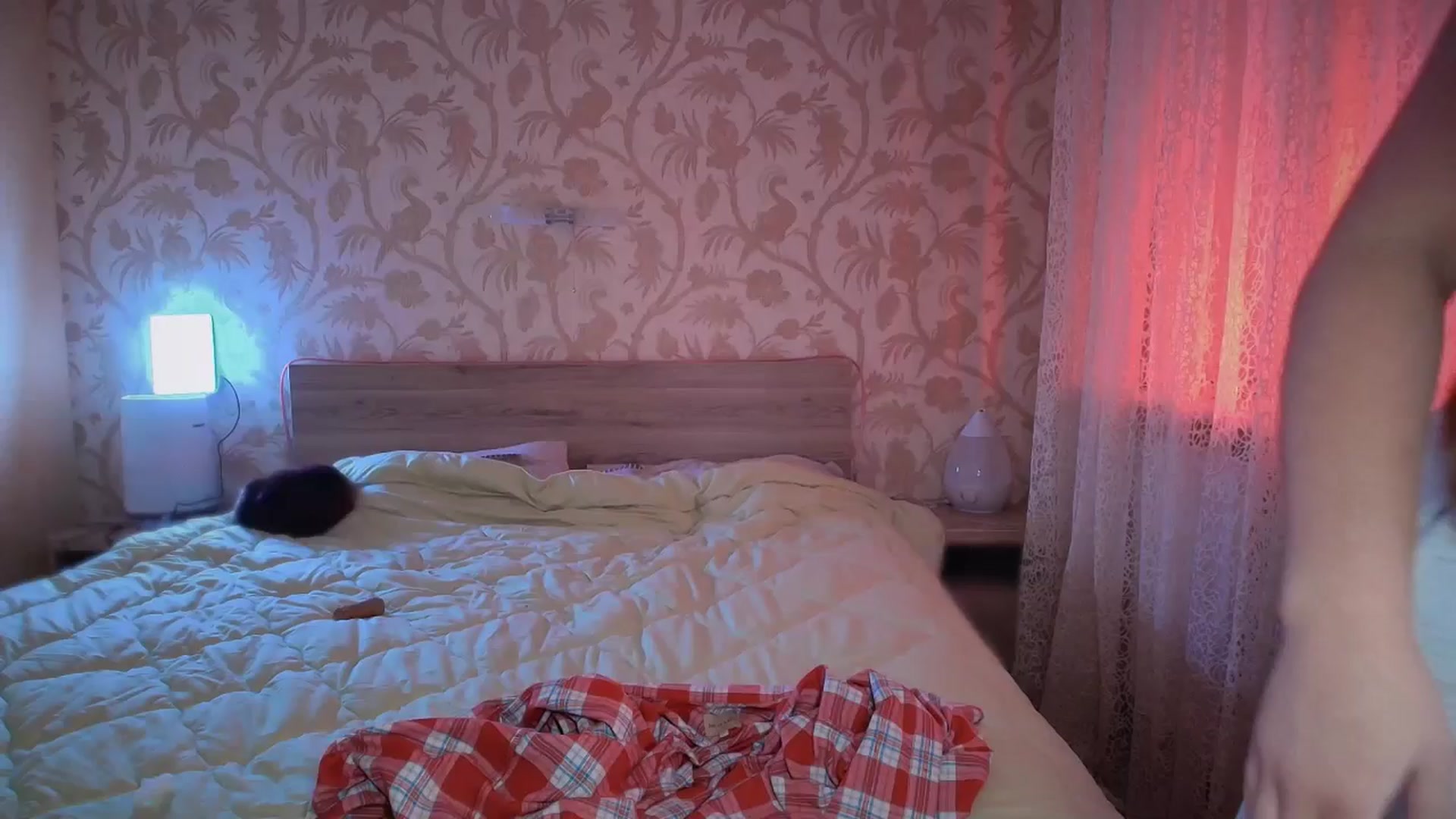 Gallery image thumbnail from BloodyMaria's myfreecams stream on, 12/29/2024, 11:41 image 20 of 20