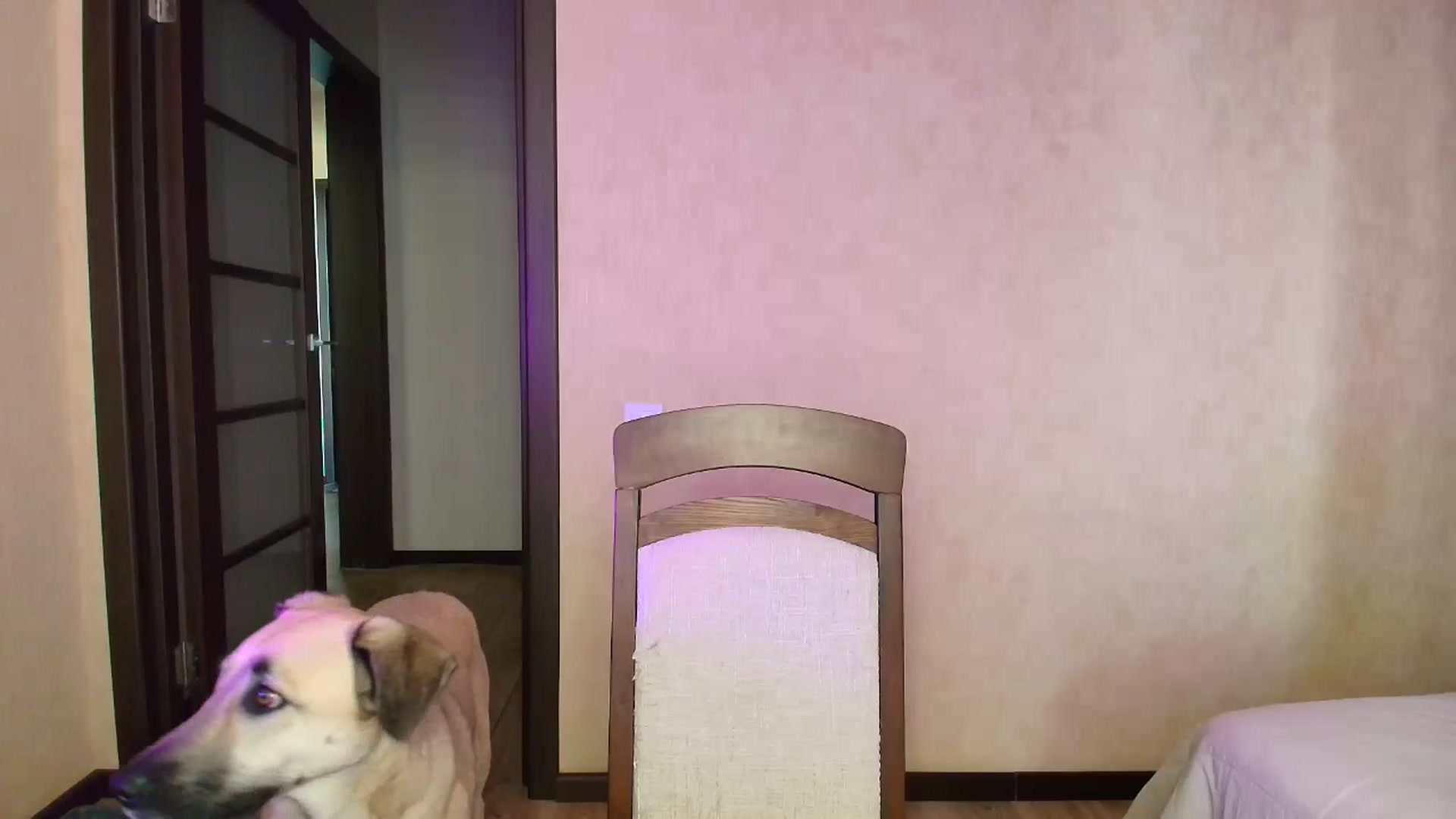 Gallery image thumbnail from BloodyMaria's myfreecams stream on, 04/27/2025, 12:21 image 16 of 20