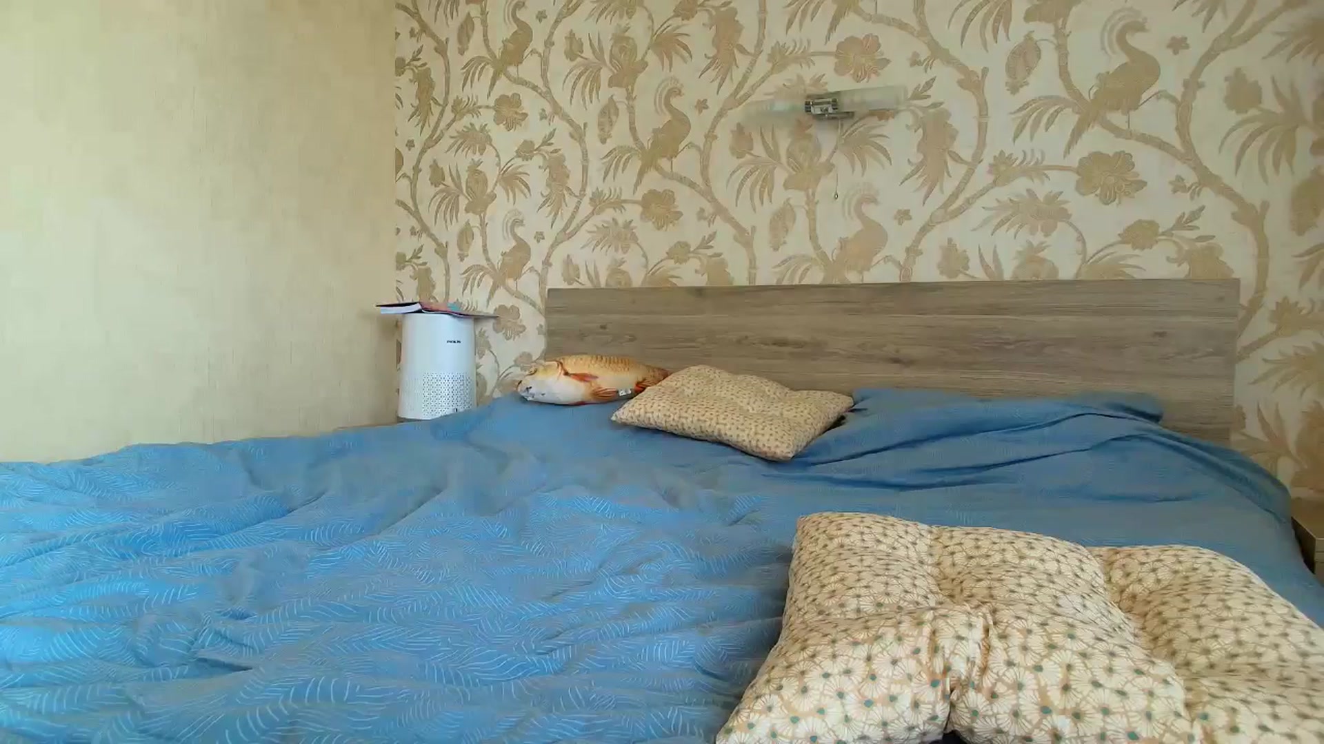 Gallery image thumbnail from BloodyMaria's myfreecams stream on, 05/04/2025, 14:03 image 14 of 20