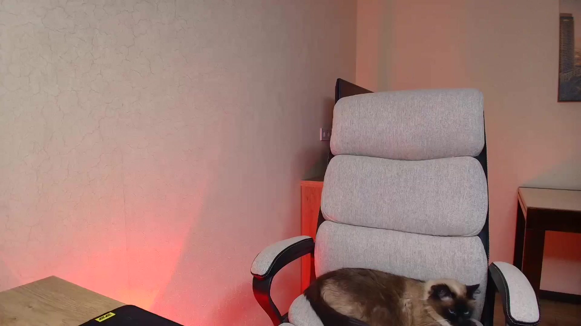 Gallery image thumbnail from BloodyMaria's myfreecams stream on, 05/06/2025, 17:42 image 14 of 20