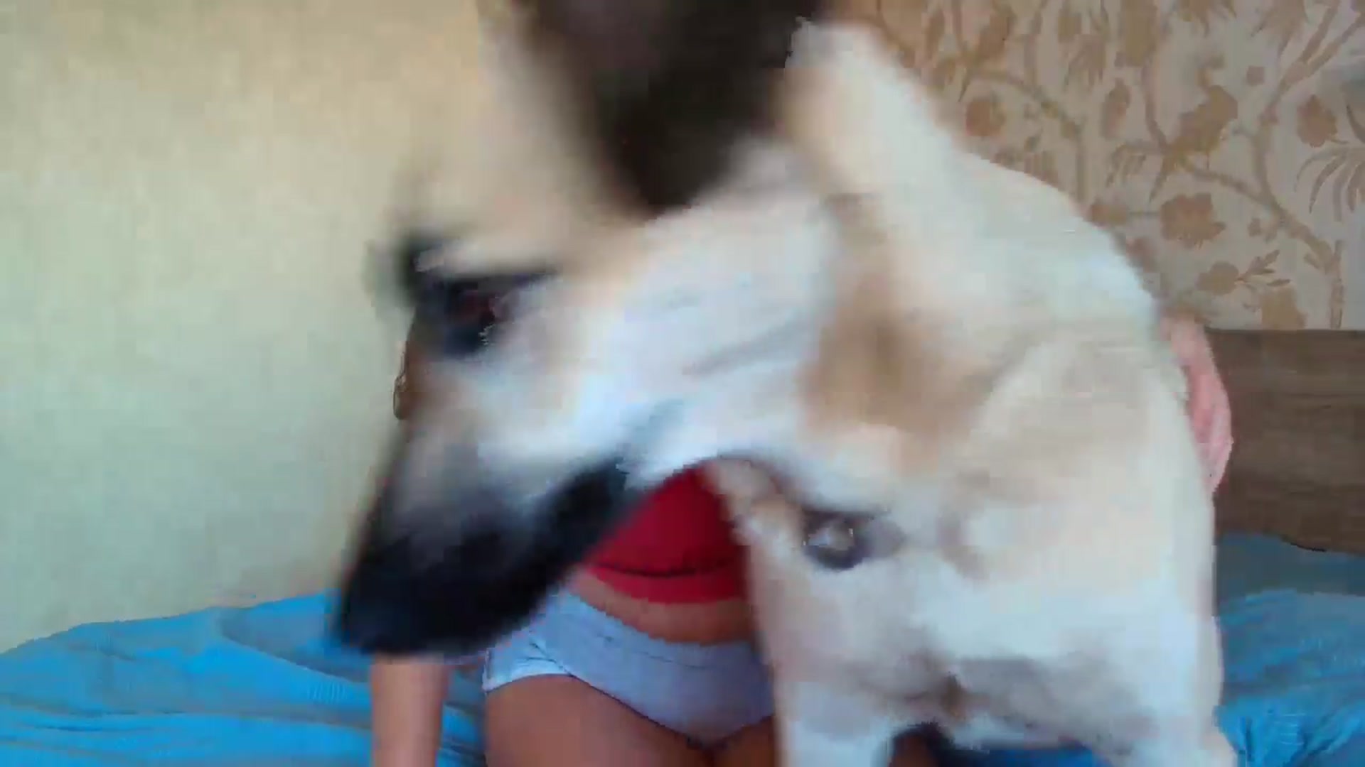 Gallery image thumbnail from BloodyMaria's myfreecams stream on, 08/09/2025, 17:06 image 8 of 20