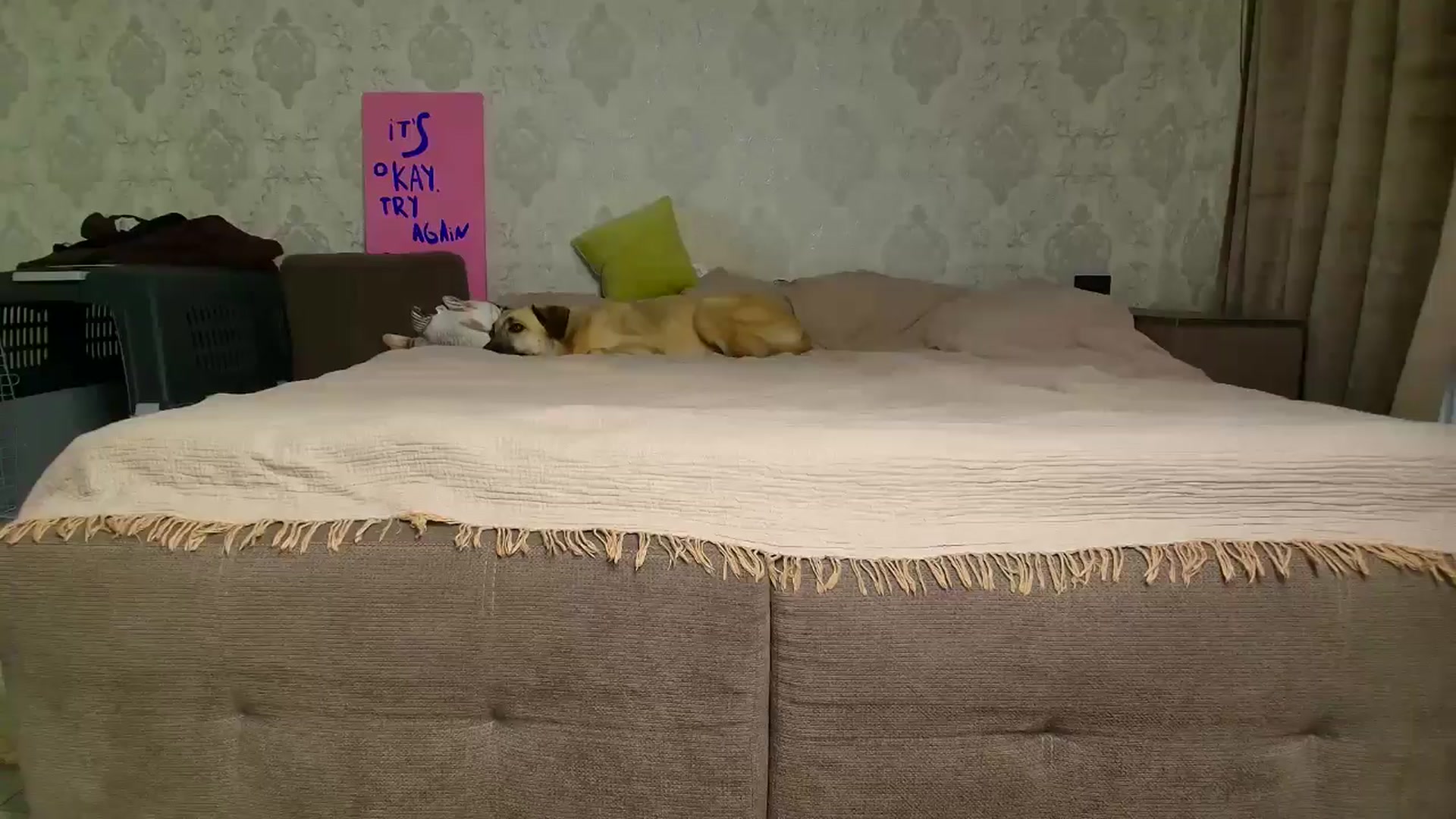 Gallery image thumbnail from BloodyMaria's myfreecams stream on, 11/19/2025, 15:22 image 16 of 20