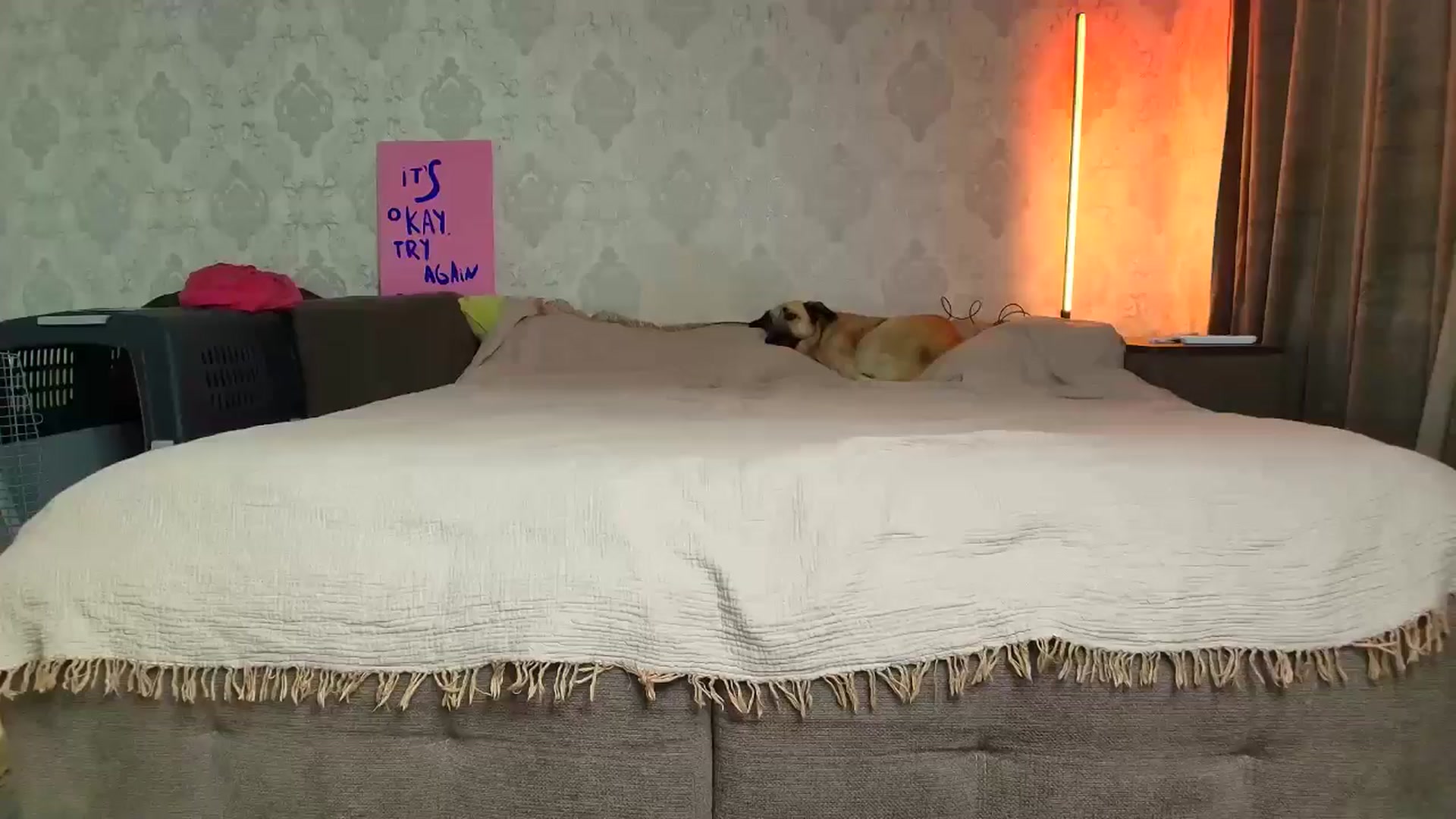 Gallery image thumbnail from BloodyMaria's myfreecams stream on, 11/21/2025, 09:13 image 3 of 20