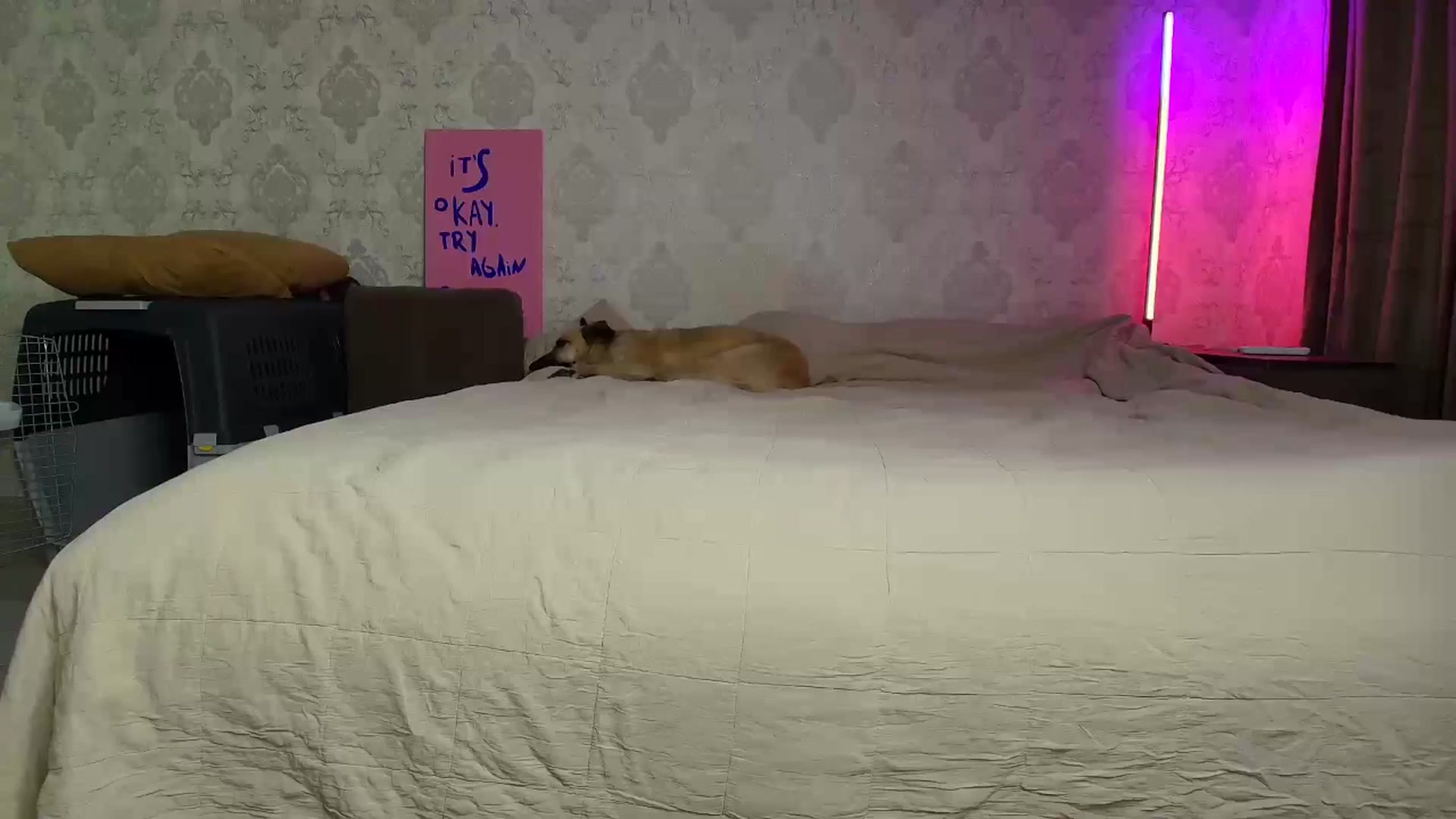 Gallery image thumbnail from BloodyMaria's myfreecams stream on, 11/22/2025, 13:38 image 18 of 20