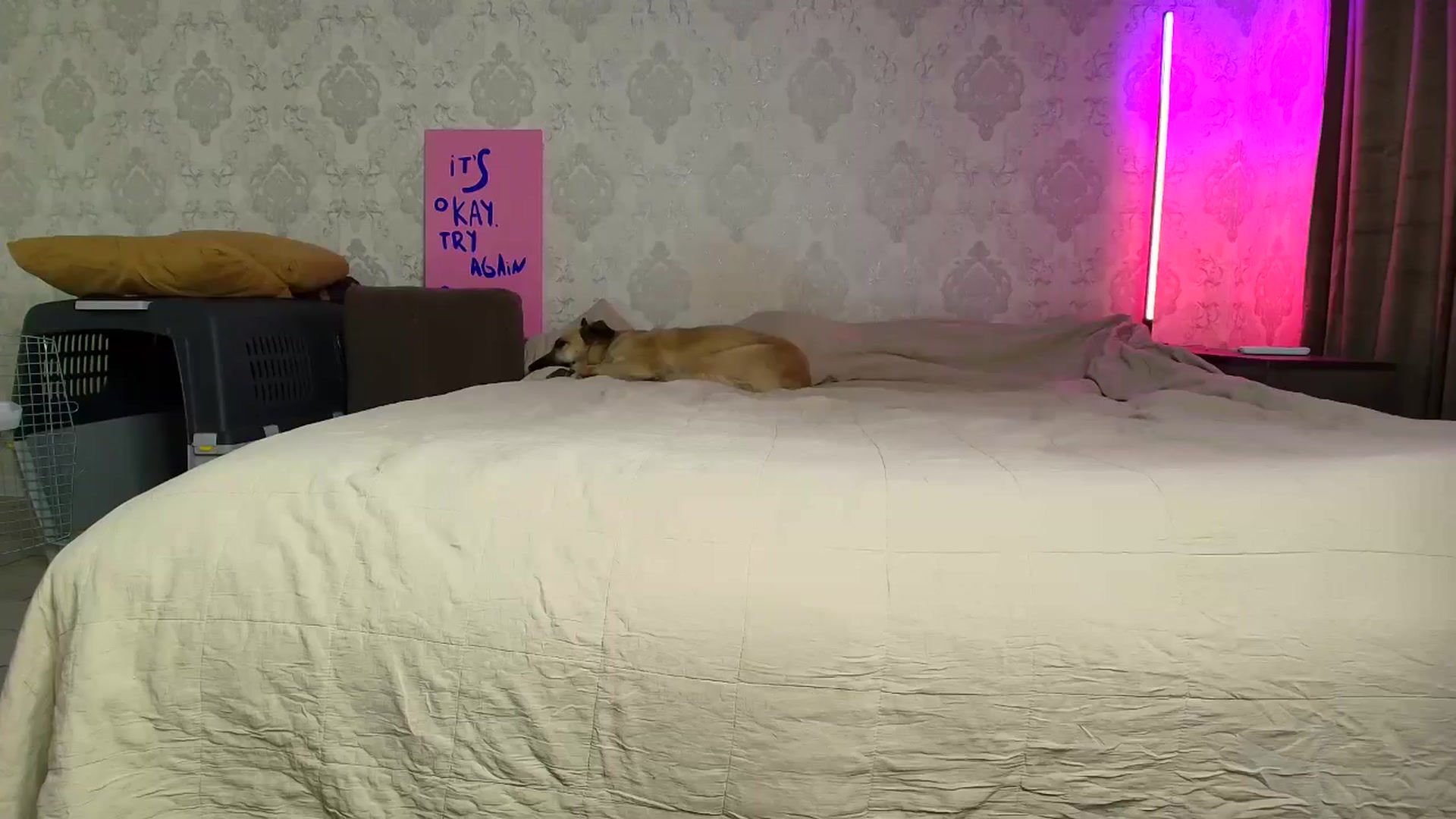 Gallery image thumbnail from BloodyMaria's myfreecams stream on, 11/22/2025, 13:38 image 19 of 20
